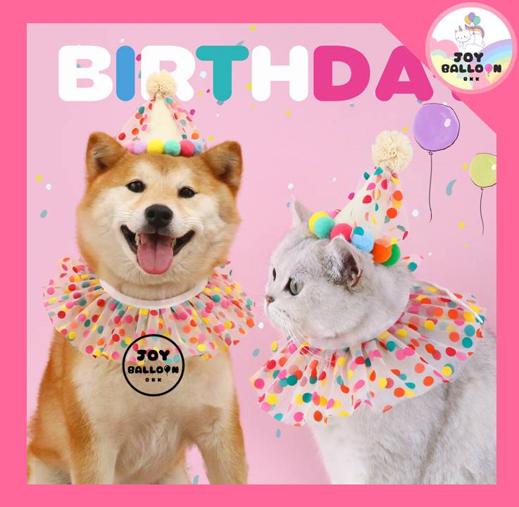 หมวกวันเกิดน้องแมว พร้อบถ่ายรูปแมว หมา สัตว์เลี้ยง พร้อบถ่ายรูปวันเกิด Happy Birthday Party (ส่งเร็วจากกุรงเทพ)