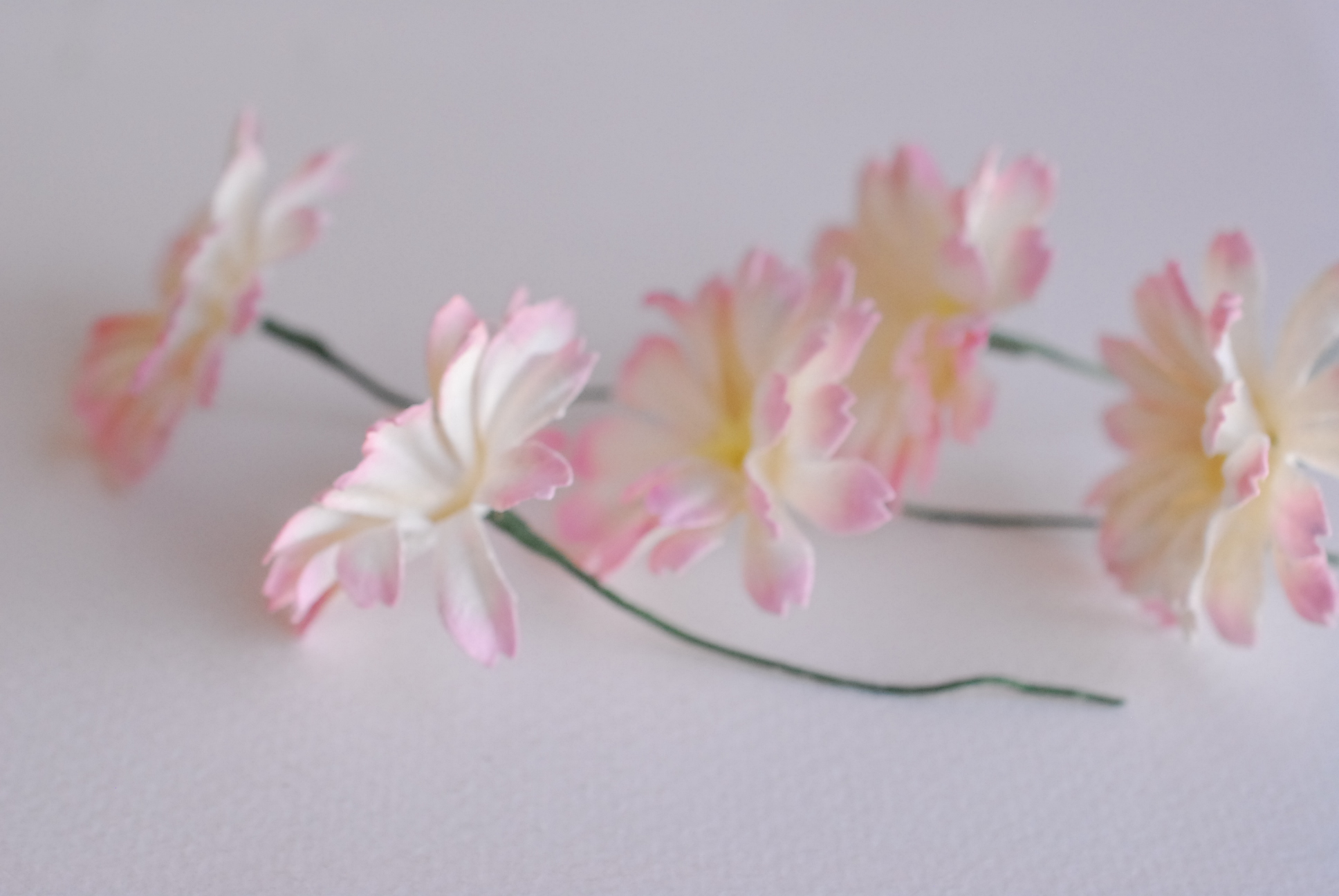 ดอกไม้กระดาษสา ดอกไม้ประดิษฐ์จากกระดาษสา ดอกเดซี่ ดอกไม้กระดาษสาขายส่ง ดอกไม้ประดิษฐ์ ดอกไม้ทำข้อมือเพื่อนเจ้าสาว ดอก daisy ขนาด 3.5 cm. จำนวน 25 ดอก สีชมพูอ่อนปัดขาว Paper Flower, 25 Daisy Flowers, pale blue color, size 4.5 cm., soft pink brush white col