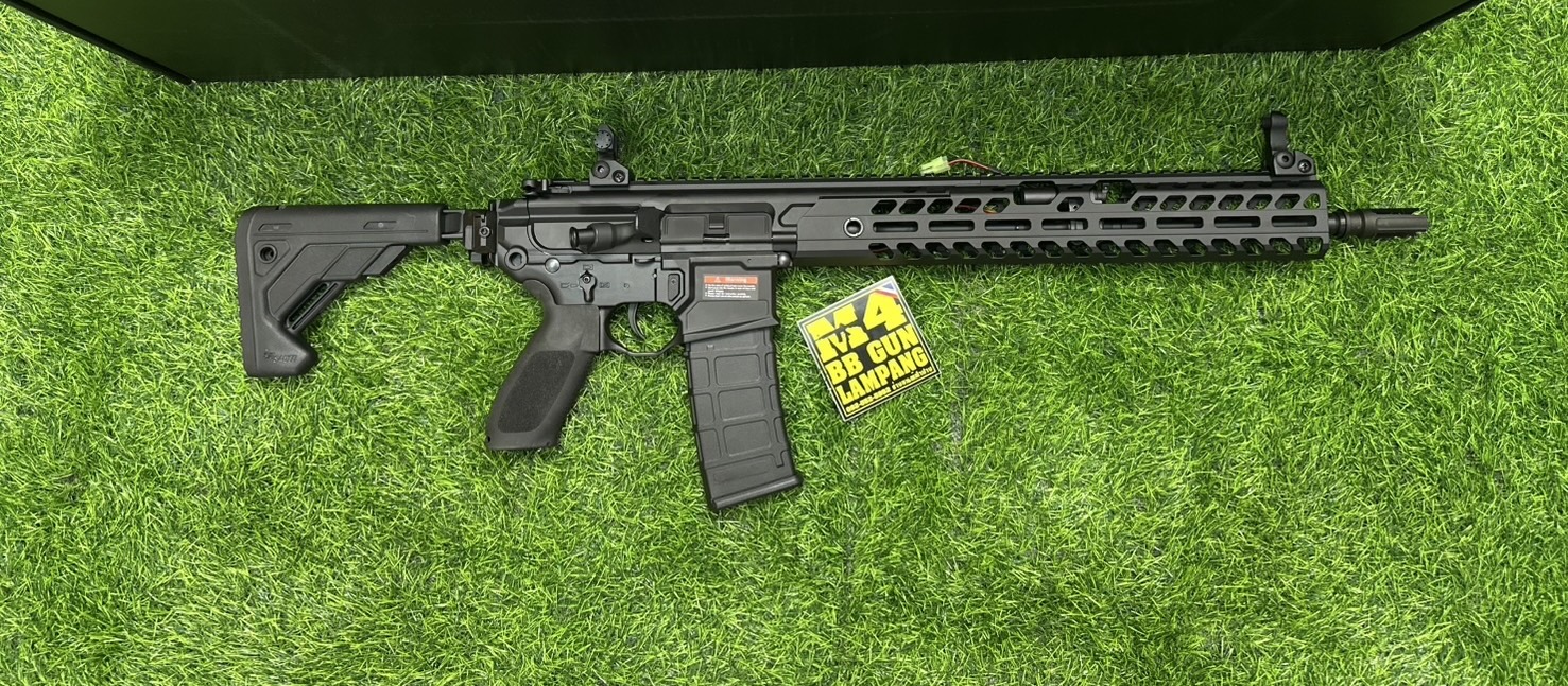 E&C SIG MCX Virtus Patrol 15" AEG