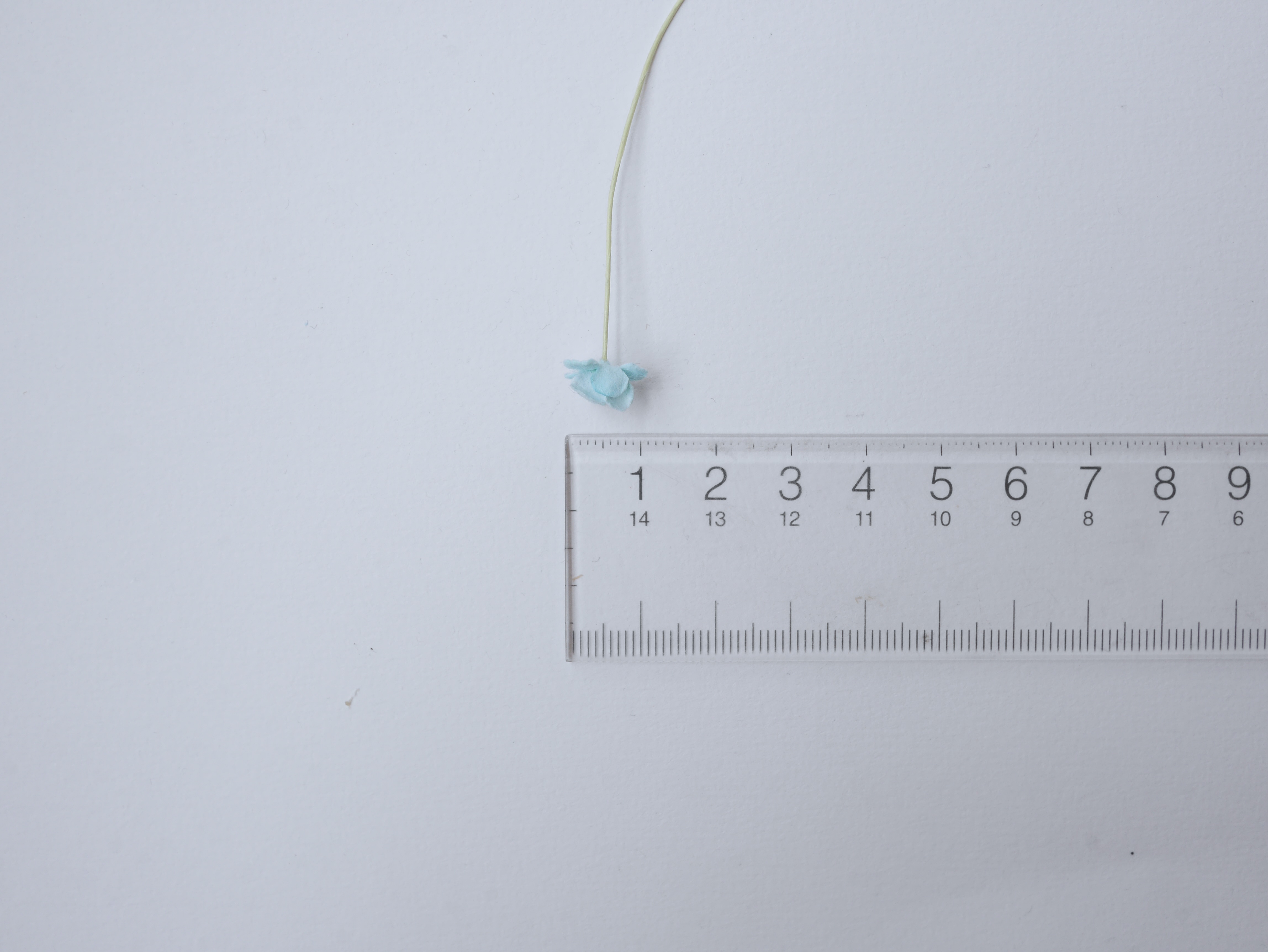 ดอกไม้กระดาษสา ดอกไม้กระดาษสาราคาส่ง ดอกไม้กระดาษสำหรับตกแต่ง งานแต่งงาน หรือติดของชำร่วย ดอก creeping lady 100 ดอก ขนาด 0.8 cm. คละสี Small Paper Flower with stem, 100 pcs., size 0.8 cm., creeping flowers 2 layers, mixed color.