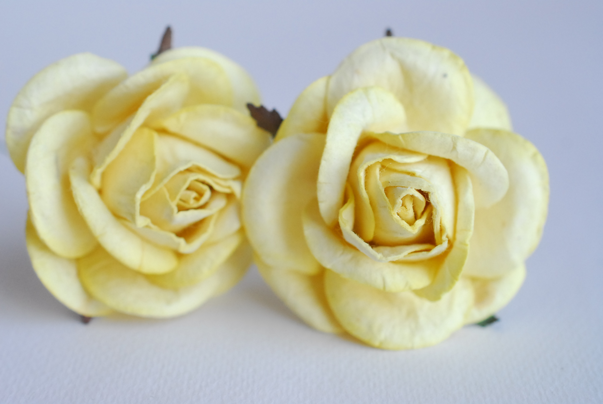 ดอกไม้กระดาษสา ดอกไม้กุหลาบกระดาษ ดอกไม้ประดิษฐ์ งานแต่งงาน ตกแต่งของชำร่วย, งานแต่งงาน สีเหลืองอ่อน ขนา่ด 4.5 cm., Paper flower,20 Pieces mulberry rose, 4.5 cm. light yellow color.