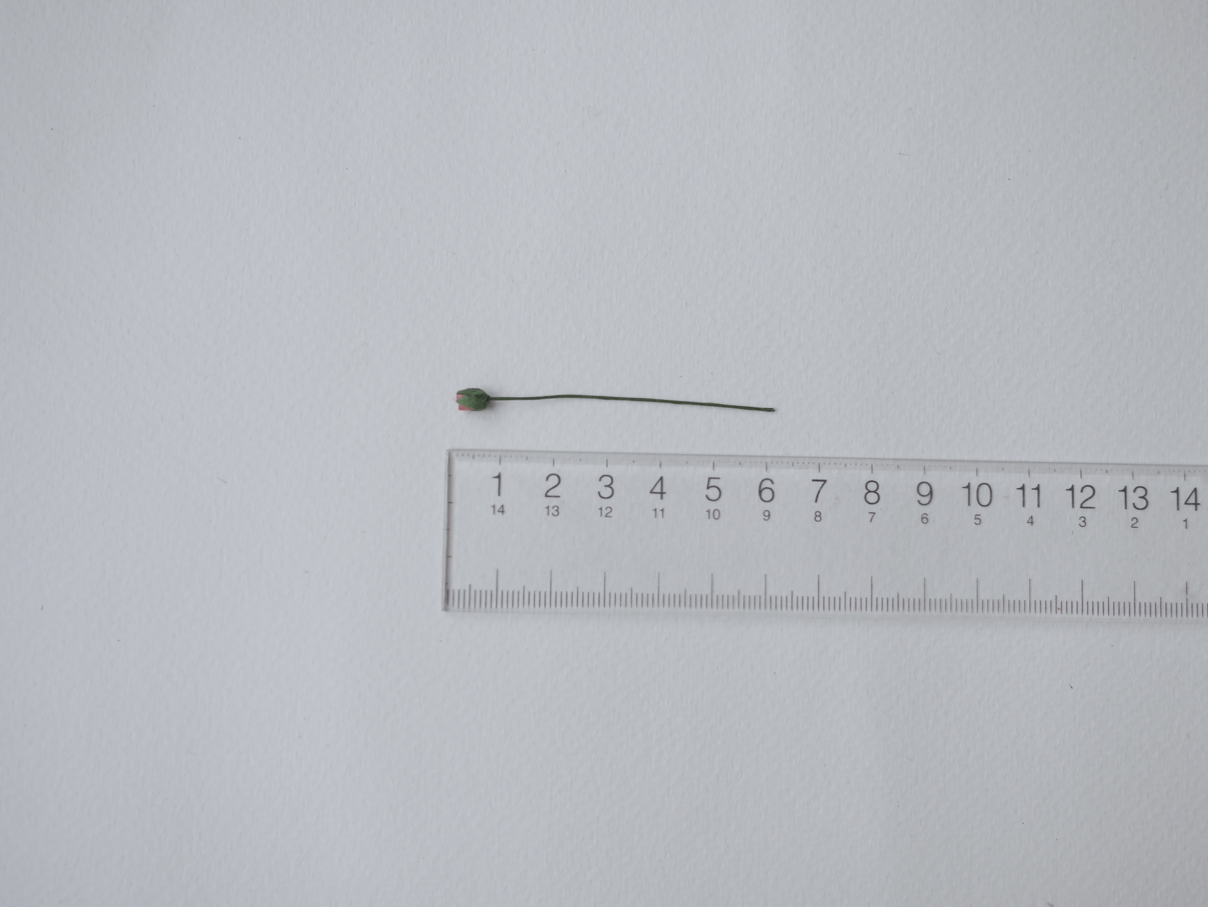 ดอกไม้กระดาษสา ดอกไม้กระดาษสา จตุจักร งานประดิษฐ์ ดอกไม้ทำข้อมือเพื่อนเจ้าสาว แต่งงาน, ดอกกุหลาบตูม 100 ดอก สีแดงตุ่น paper flowers, budding roses flower 0.5x0.8 cm. 100 pieces. coral red color.