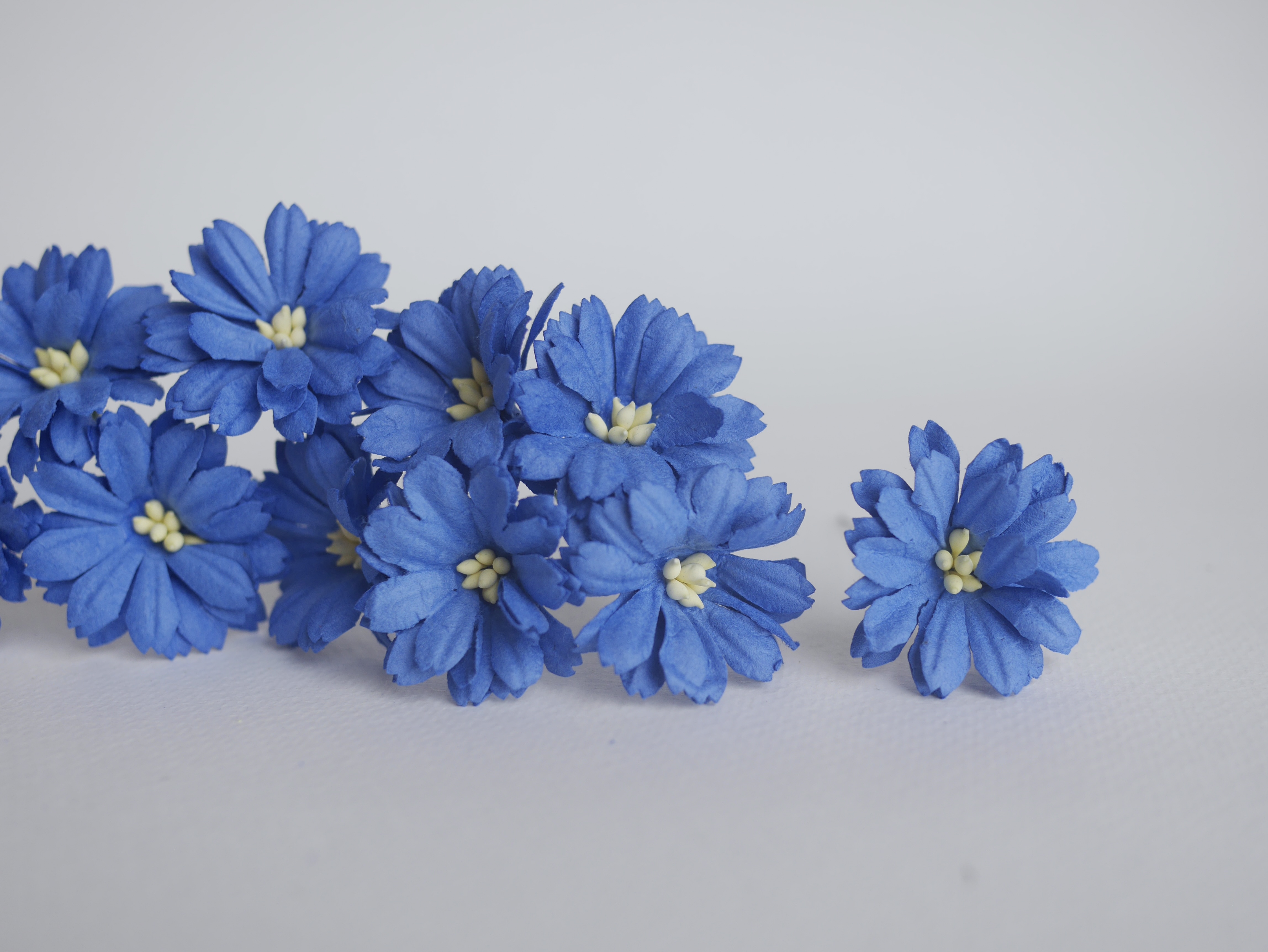 ดอกไม้กระดาษสา ดอกไม้ประดิษฐ์จากกระดาษสา ดอกเดซี่ ดอกไม้กระดาษสาขายส่ง ดอกไม้ประดิษฐ์ ดอกไม้ทำข้อมือเพื่อนเจ้าสาว ดอก daisy ขนาด 3.5 cm. จำนวน 25 ดอก สีน้ำเงินกรมท่า Paper Flower, 25 Daisy Flowers, ivory color, size 4.5 cm., royal blue pollen.