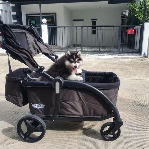 Keenz Class รถเข็นเด็กอเนกประสงค์