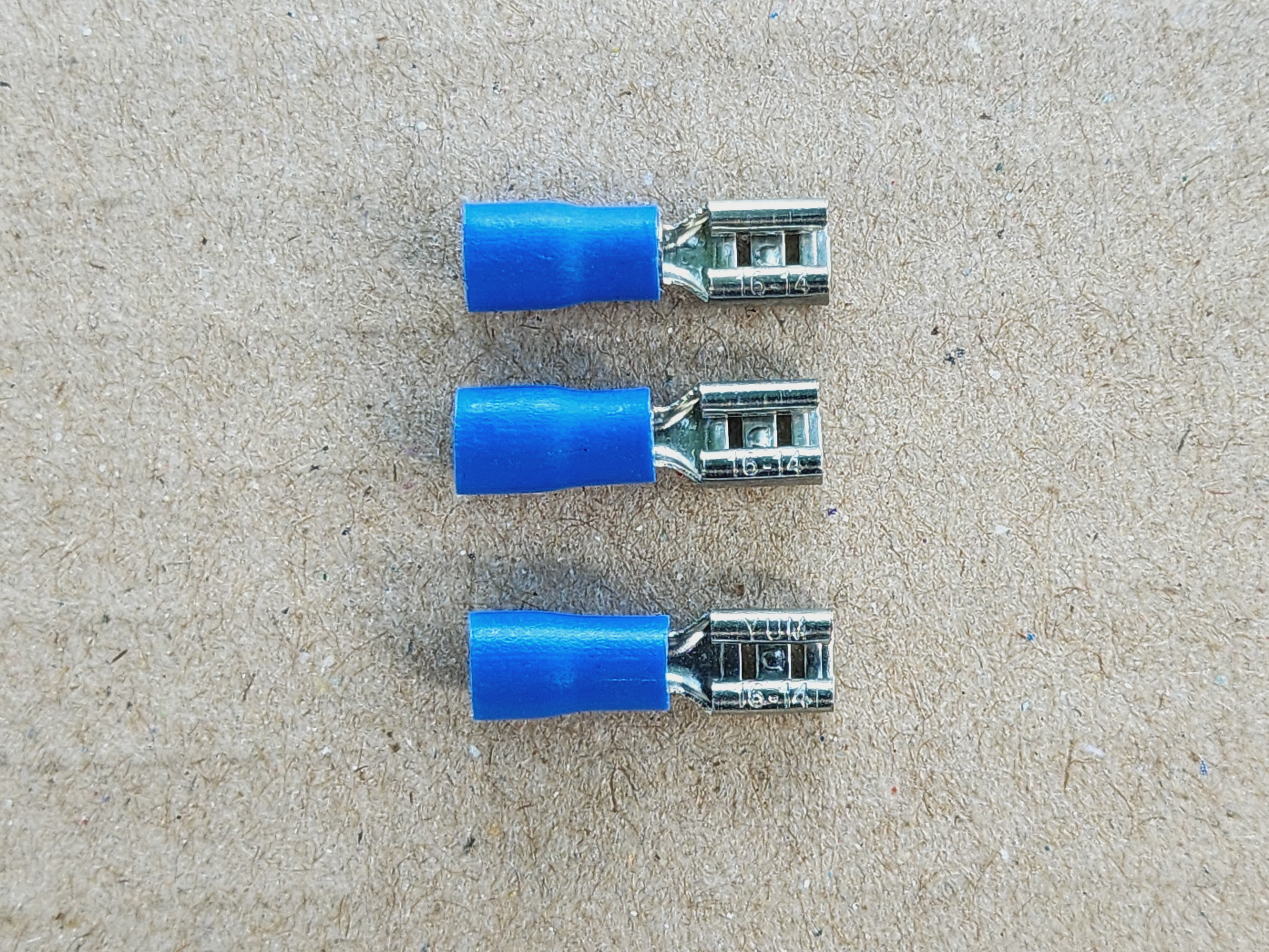 รูปหางปลาเสียบ ตัวเมีย