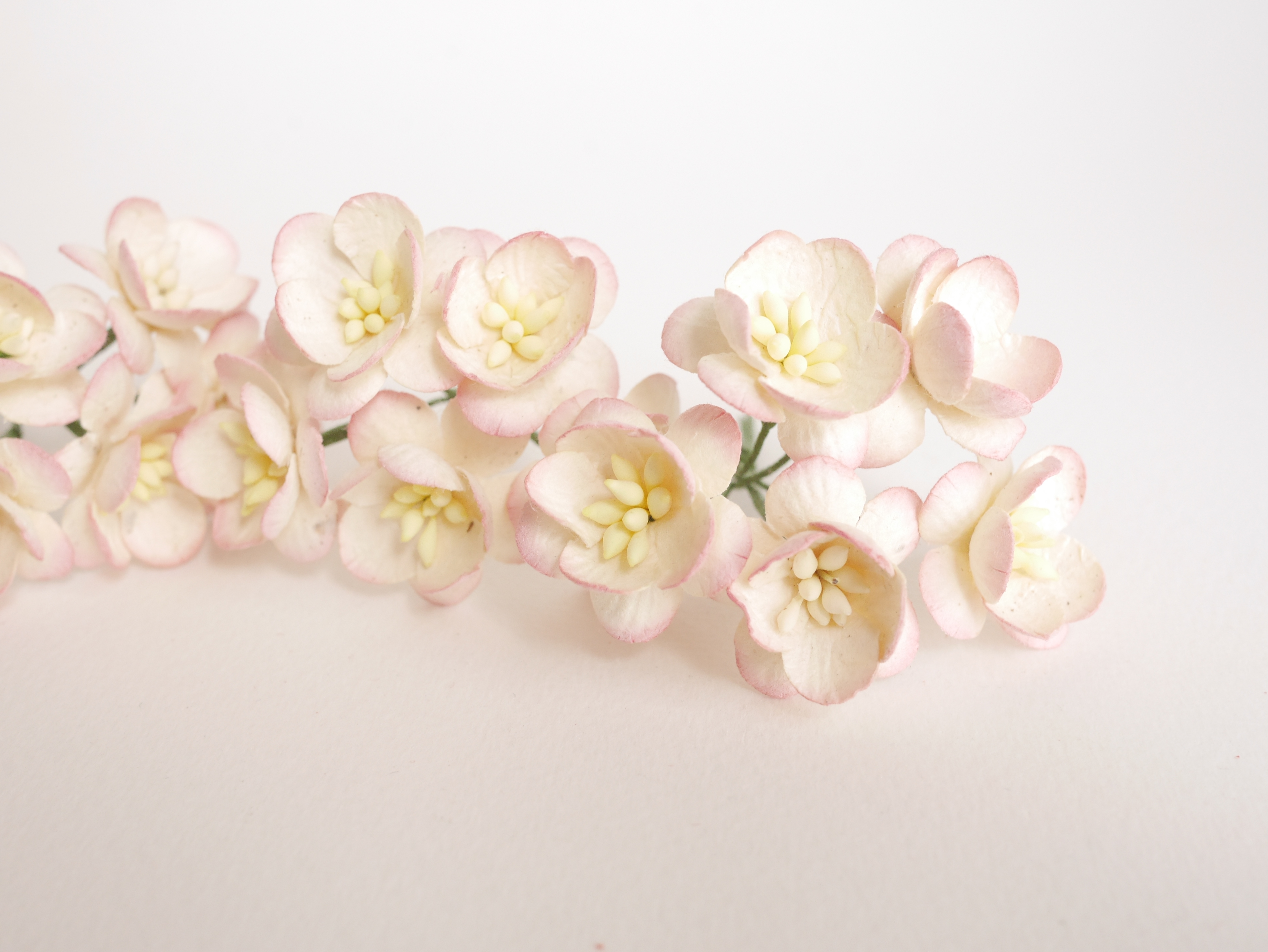 ดอกไม้กระดาษสา ดอกซากุระกระดาษ ดอกไม้กระดาษสาราคาส่ง ดอกไม้กระดาษสำหรับตกแต่งของชำร่วย งานแต่งงาน ทำช่อดอกไม้ติดอกเจ้าบ่าว ข้อมือดอกไม้เจ้าสาว ขนาด2.5 cm. 50 ดอก สีเบอรี่ปัดครีม Paper flowers supplies: DIY wedding tools Cherry blossom (Sakura) 50 pcs. siz