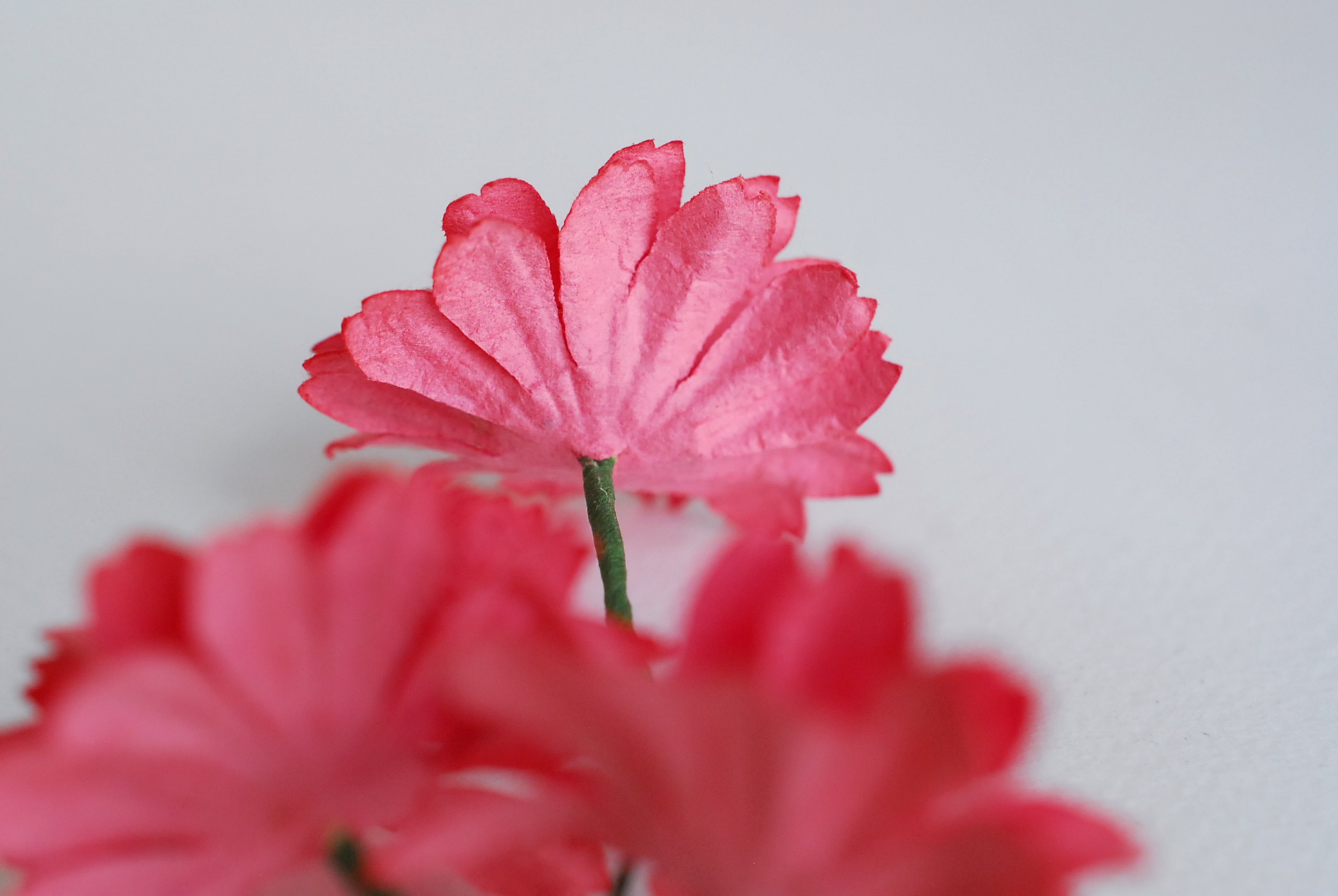 ดอกไม้กระดาษสา ดอกไม้ประดิษฐ์จากกระดาษสา ดอกเดซี่ ดอกไม้กระดาษสาขายส่ง ดอกไม้ประดิษฐ์ ดอกไม้ทำข้อมือเพื่อนเจ้าสาว ดอก daisy ขนาด 3.5 cm. จำนวน 25 ดอก สีชมพูแดง Paper Flower, 25 Daisy Flowers, size 4.5 cm., pink rouge color