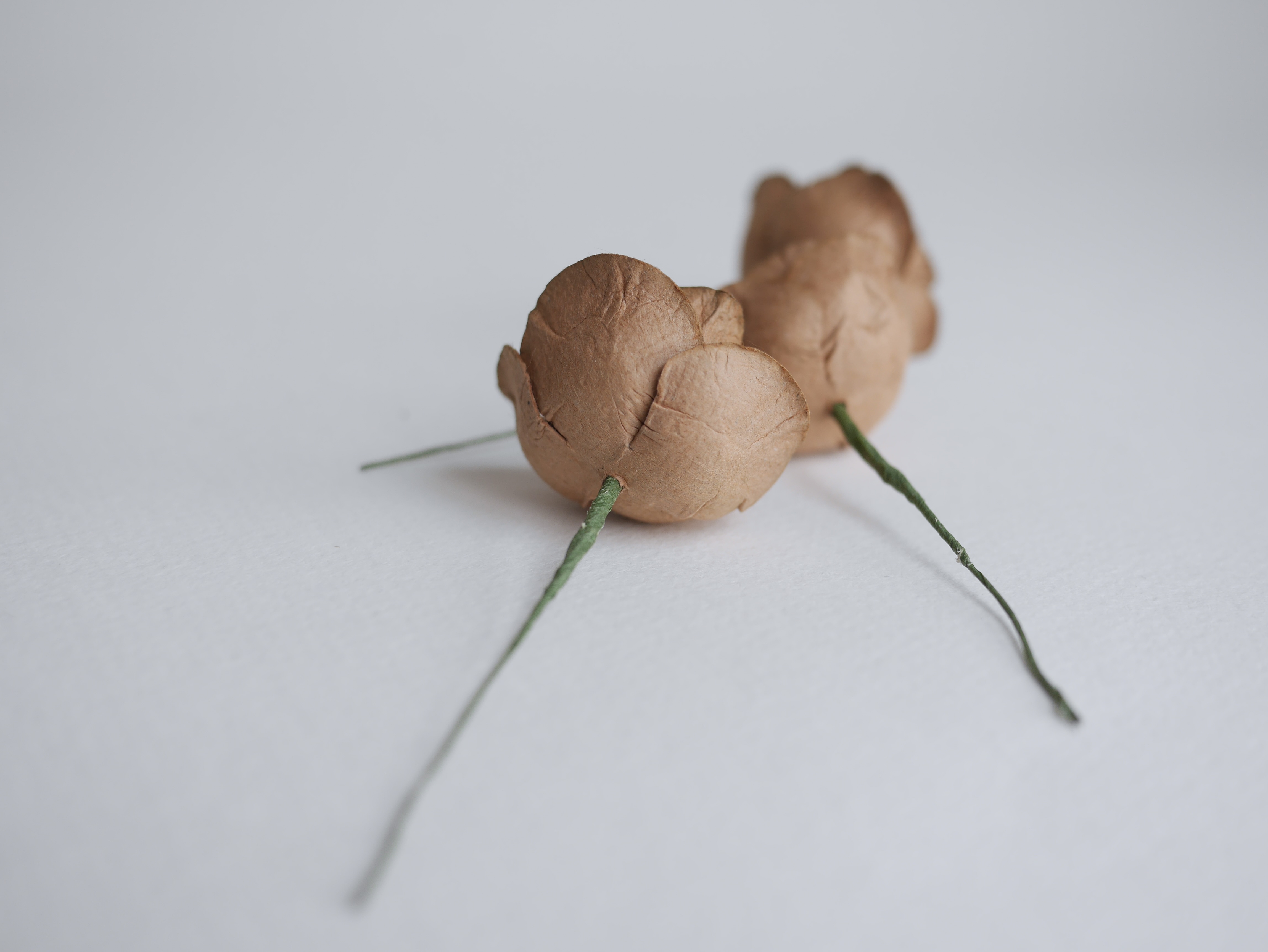 ดอกไม้กระดาษสา ดอกโลตัสอินโดนิเซียกระดาษ ดอกไม้กระดาษสาราคาส่ง ดอกไม้กระดาษสำหรับตกแต่งของชำร่วย งานแต่งงาน ทำช่อดอกไม้ติดอกเจ้าบ่าว ข้อมือดอกไม้เจ้าสาว ขนาด 4.5 cm. 20 ดอก สีน้ำตาลโกโก้ Paper flowers supplies: DIY wedding tools, Lotus with pollens.