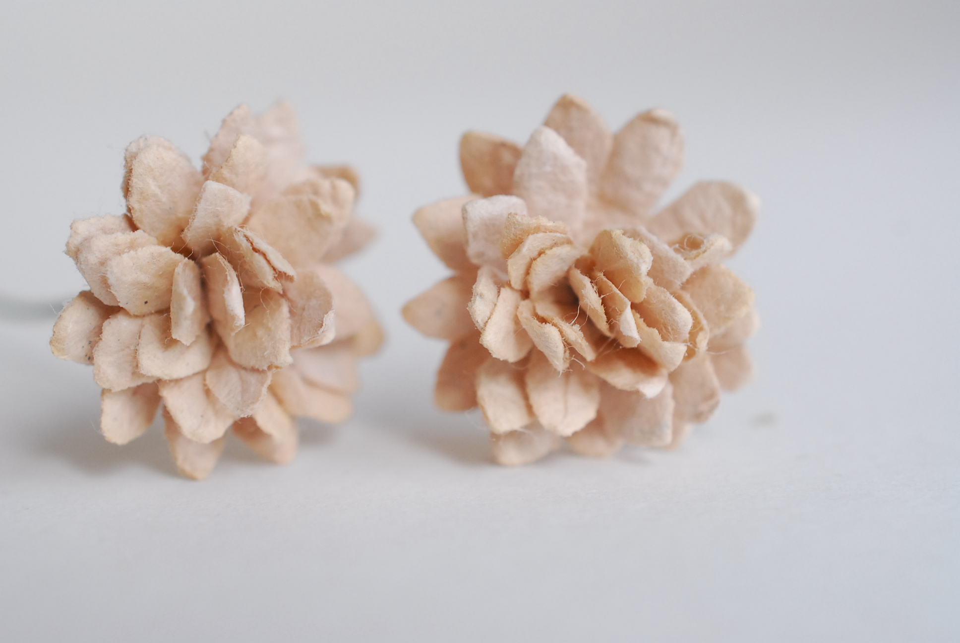 ดอกไม้ประดิษฐ์, ดอกไม้กระดาษสา, ดอก gypsophila, ดอกยิปโซ งานประดิษฐ์ตกแต่งของชำร่วย, ดอกไม้ทำพานพุ่ม,พานพวงมาลัย, พานรับไหว้, ขนาด 2 cm. สีน้ำตาลอ่อน