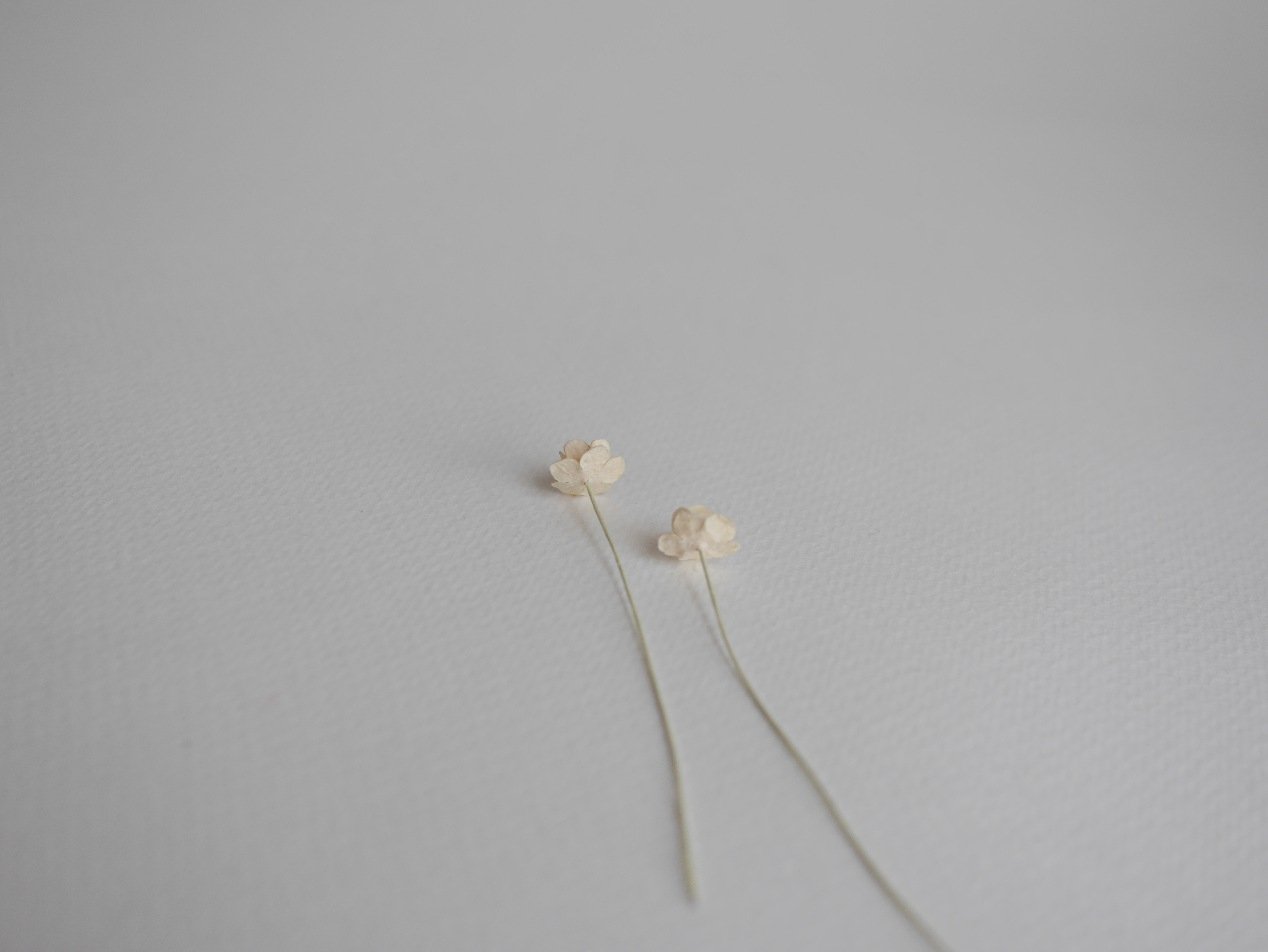 ดอกไม้กระดาษสา ดอกไม้กระดาษสาราคาส่ง ดอกไม้กระดาษสำหรับตกแต่ง งานแต่งงาน หรือติดของชำร่วย ดอก creeping lady 100 ดอก ขนาด 0.8 cm. สีเหลืองไข่อ่อน Small Paper Flower with stem, 100 pcs., size 0.8 cm., creeping flowers 2 layers, soft egg color.