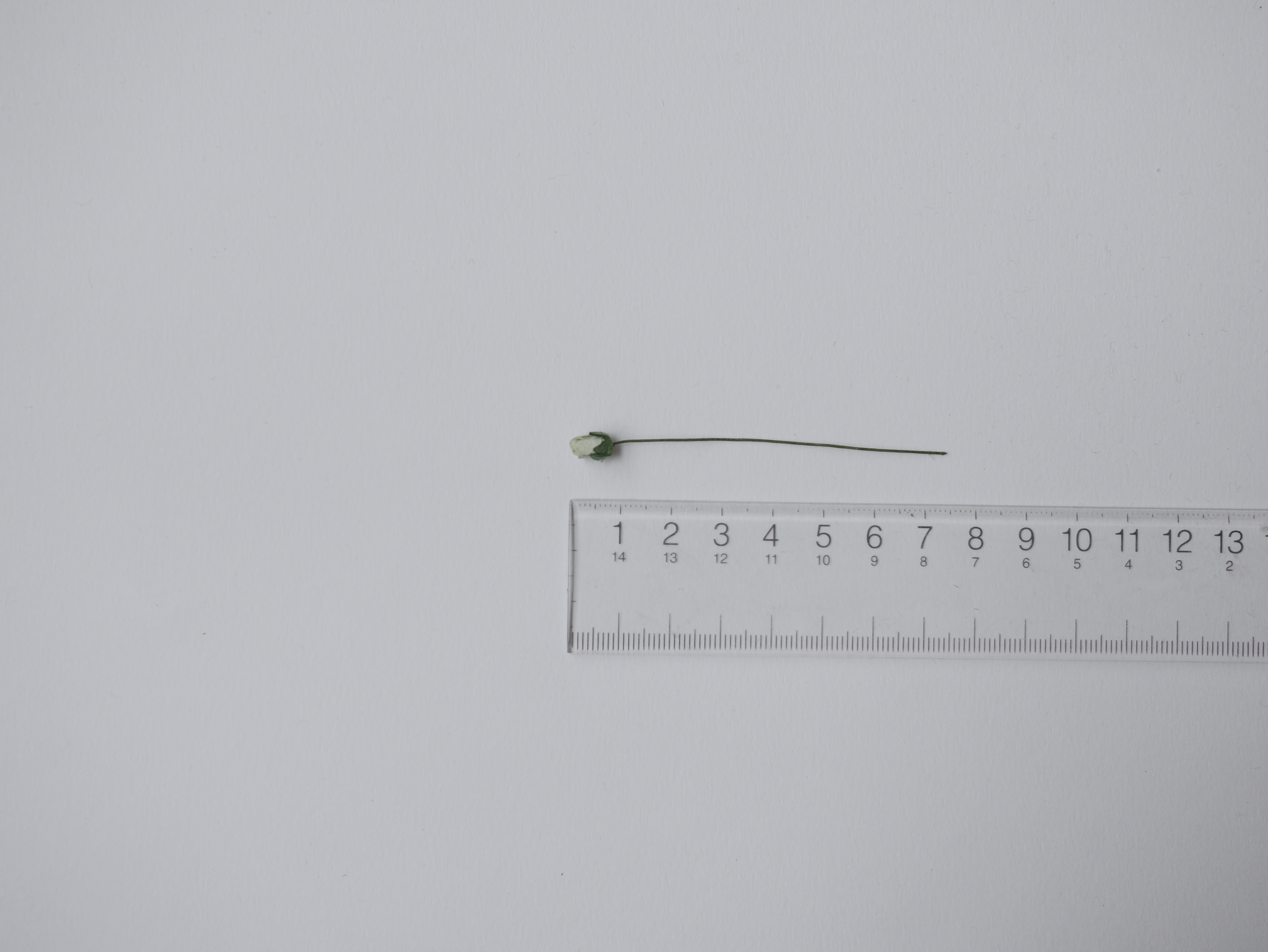 ดอกไม้กระดาษสา ดอกไม้กระดาษสา งานประดิษฐ์ ดอกไม้ทำข้อมือเพื่อนเจ้าสาว แต่งงาน, ดอกกุหลาบตูม 100 ดอก สีเขียวตุ่น ขนาด 0.5x0.8 cm. paper flowers, budding roses flower 0.5x0.8 cm. 100 pieces. pale greentea color.