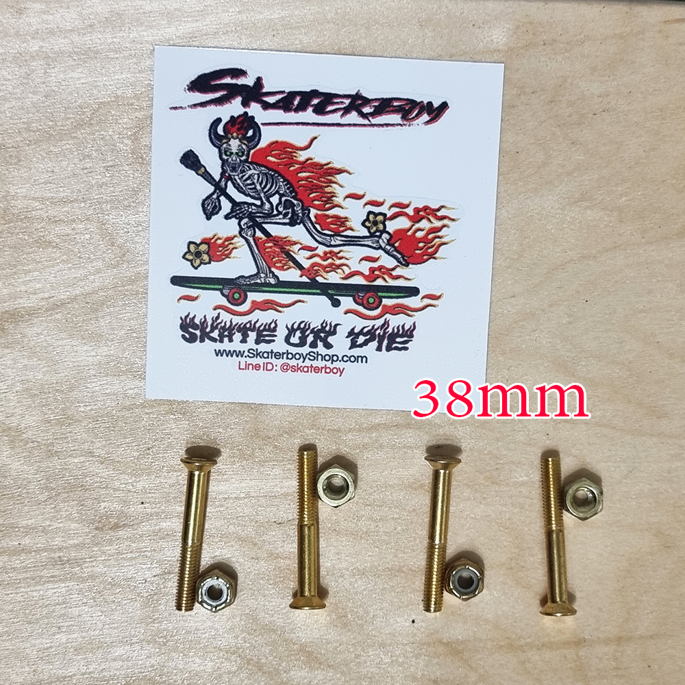 [0309] น็อตทอง ยึดทรัคสเก็ตบอร์ด ยาว 29, 38, 44, 60mm มีบ่า ถนอมไม้ หัวหกเหลี่ยม ตัวผู้พร้อมตัวเมีย คือ1คู่