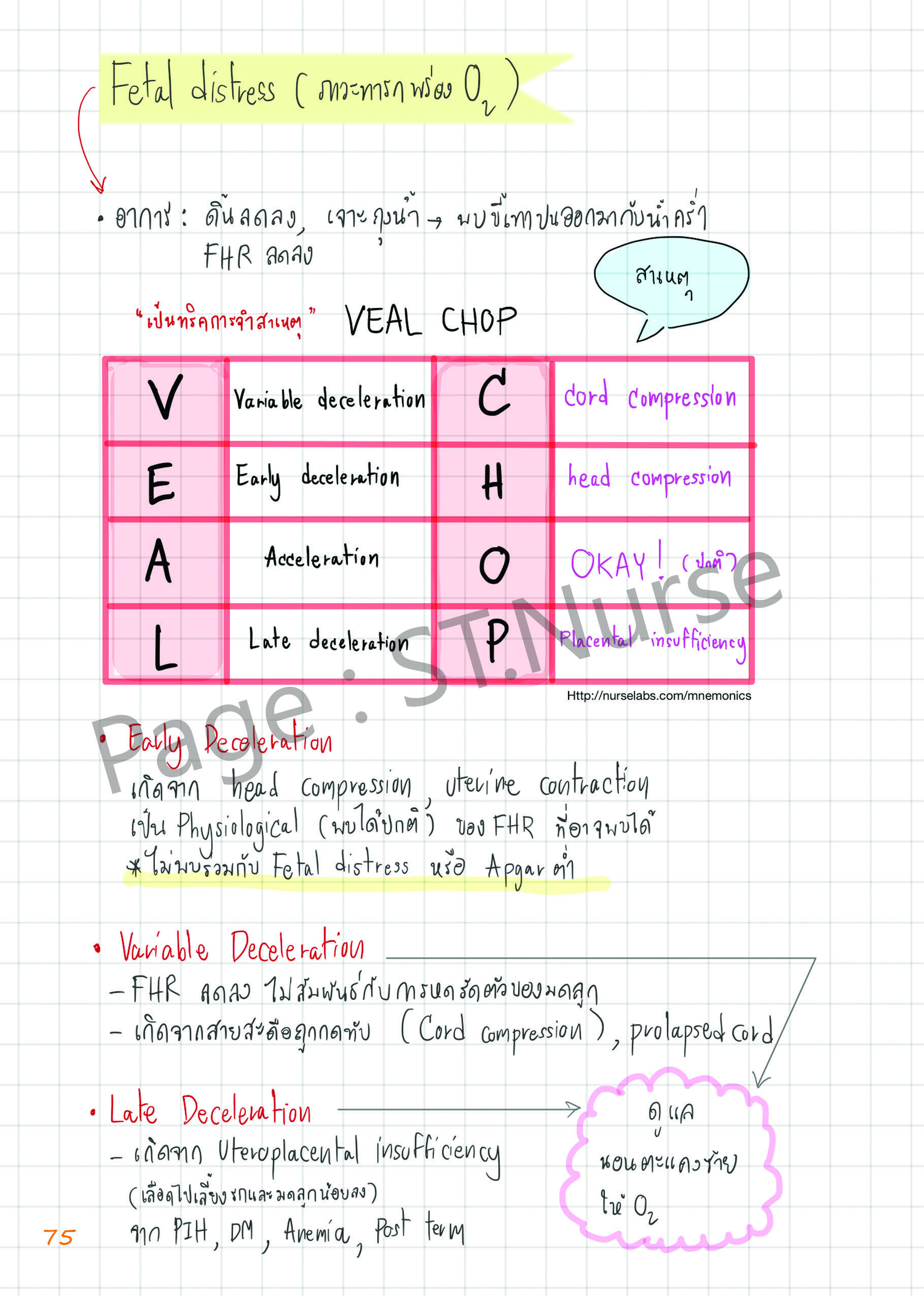 Shortnote การพยาบาลผดุงครรภ์