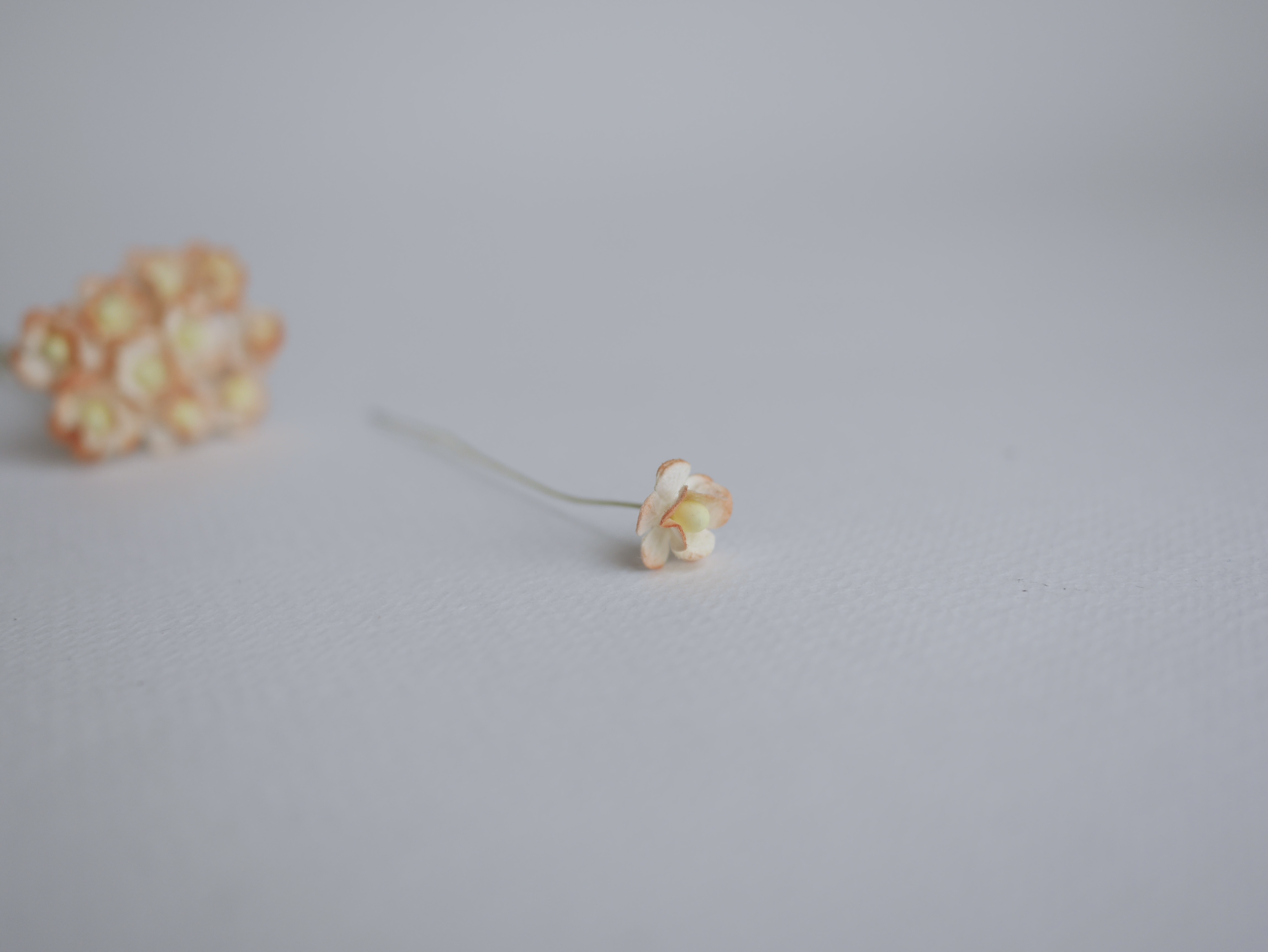 ดอกไม้กระดาษสา ดอกไม้กระดาษสาราคาส่ง ดอกไม้กระดาษสำหรับตกแต่ง งานแต่งงาน หรือติดของชำร่วย ดอก creeping lady 100 ดอก ขนาด 0.8 cm. สีส้มปัดสีขาว Small Paper Flower with stem, 100 pcs., size 0.8 cm., creeping flowers 2 layers, orange brush color.