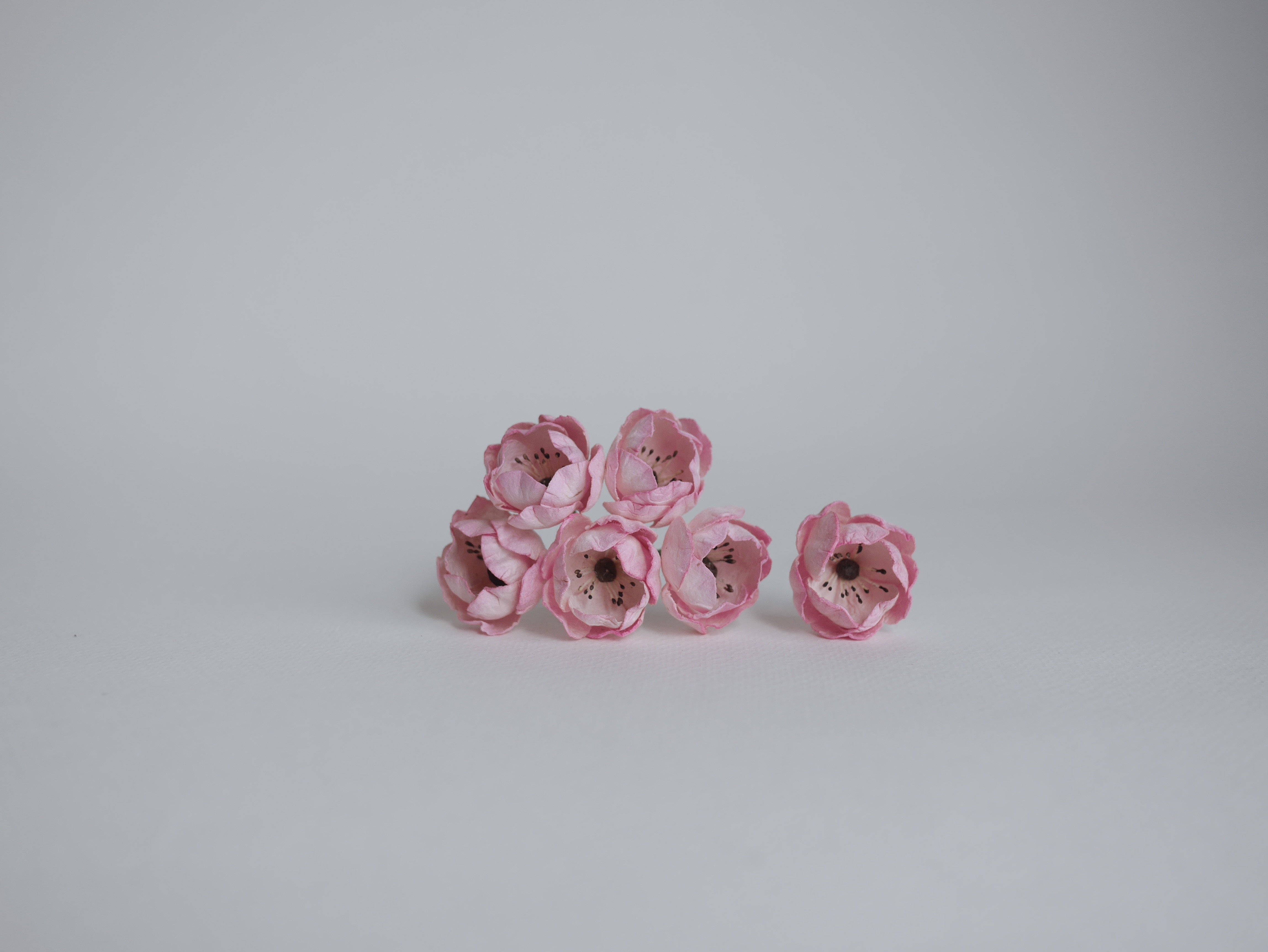 ดอกกุหลาบกระดาษสา peony ดอกไม้กระดาษสาราคาส่ง, ดอกไม้กระดาษ,ดอกไม้ประดิษฐ์ สำหรับตกแต่งของชำร่วย งานแต่งงาน ดอกกุหลาบกลม peony ขนาด 3.5 cm. จำนวน 25 ดอก, สีชมพูปัดสีขาว เกสรสีดำ Paper Flowers, Peony flowers supplies size 3.5cm./ 25 pieces, handmade flower