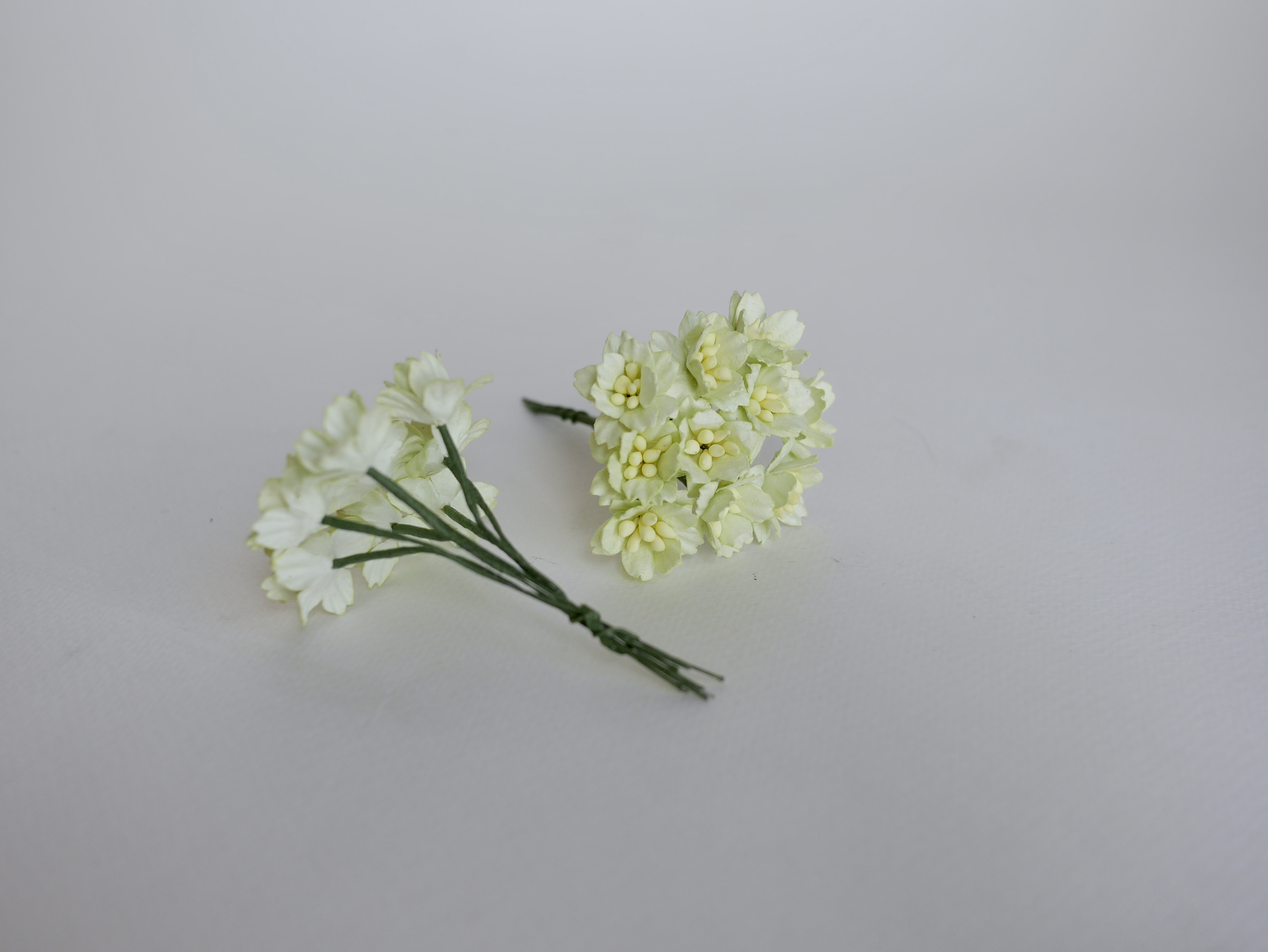 ดอกไม้กระดาษสา ดอกซากุระกระดาษ ขนาดเล็ก ดอกไม้กระดาษสาราคาส่ง ดอกไม้กระดาษสำหรับตกแต่งของชำร่วย งานแต่งงาน ทำช่อดอกไม้ติดอกเจ้าบ่าว ข้อมือดอกไม้เจ้าสาว ขนาด 2.0 cm. 50 ดอก สีเขียวพาสเทลอ่อน Paper flowers supplies: DIY wedding tools small Cherry blossom pa