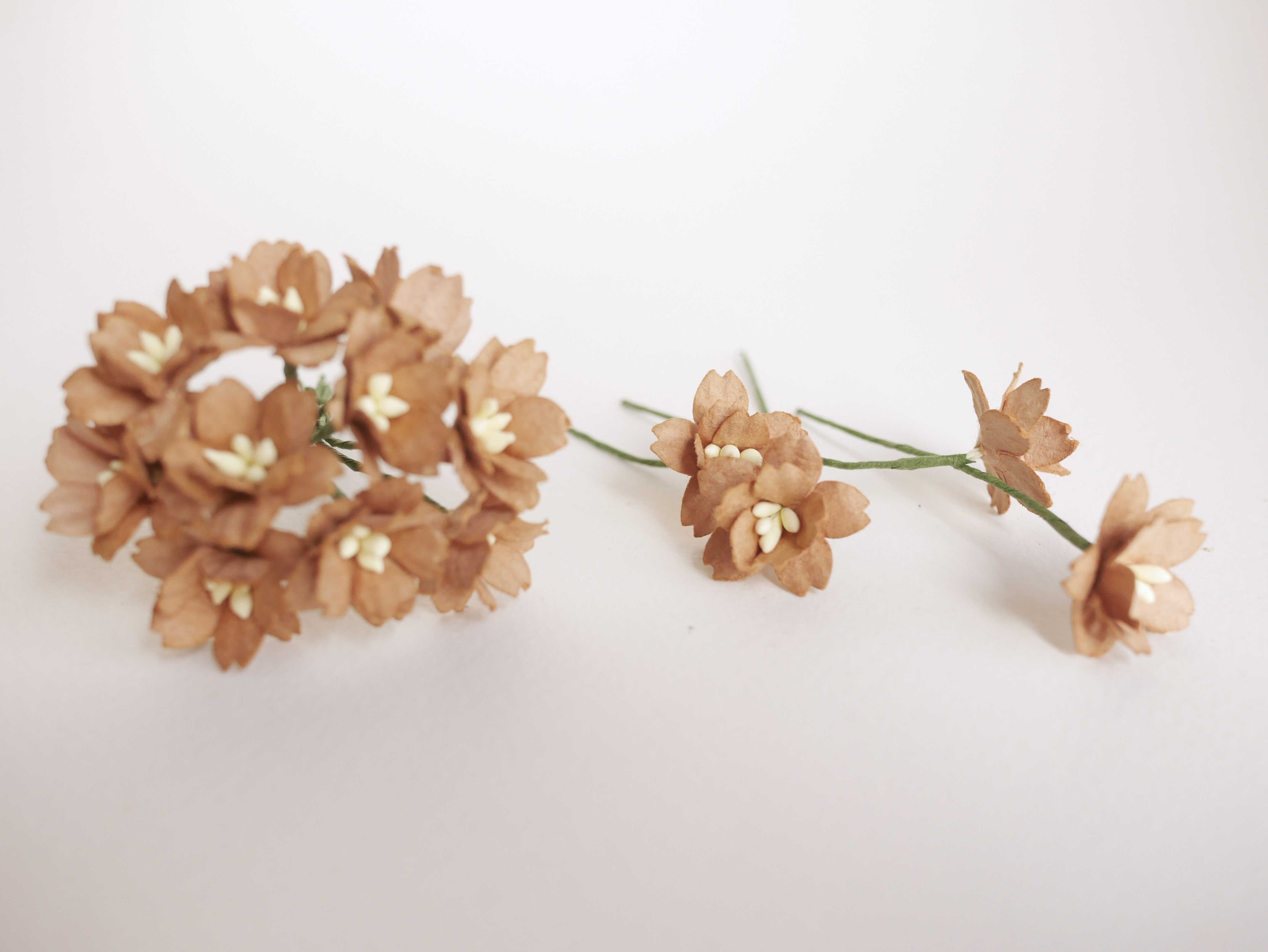 ดอกไม้กระดาษสา ดอกซากุระกระดาษ ขนาดเล็ก ดอกไม้กระดาษสาราคาส่ง ดอกไม้กระดาษสำหรับตกแต่งของชำร่วย งานแต่งงาน ทำช่อดอกไม้ติดอกเจ้าบ่าว ข้อมือดอกไม้เจ้าสาว ขนาด2.0 cm. 50 ดอก สีน้ำตาล Paper flowers supplies: DIY wedding tools small Cherry blossom (Sakura)