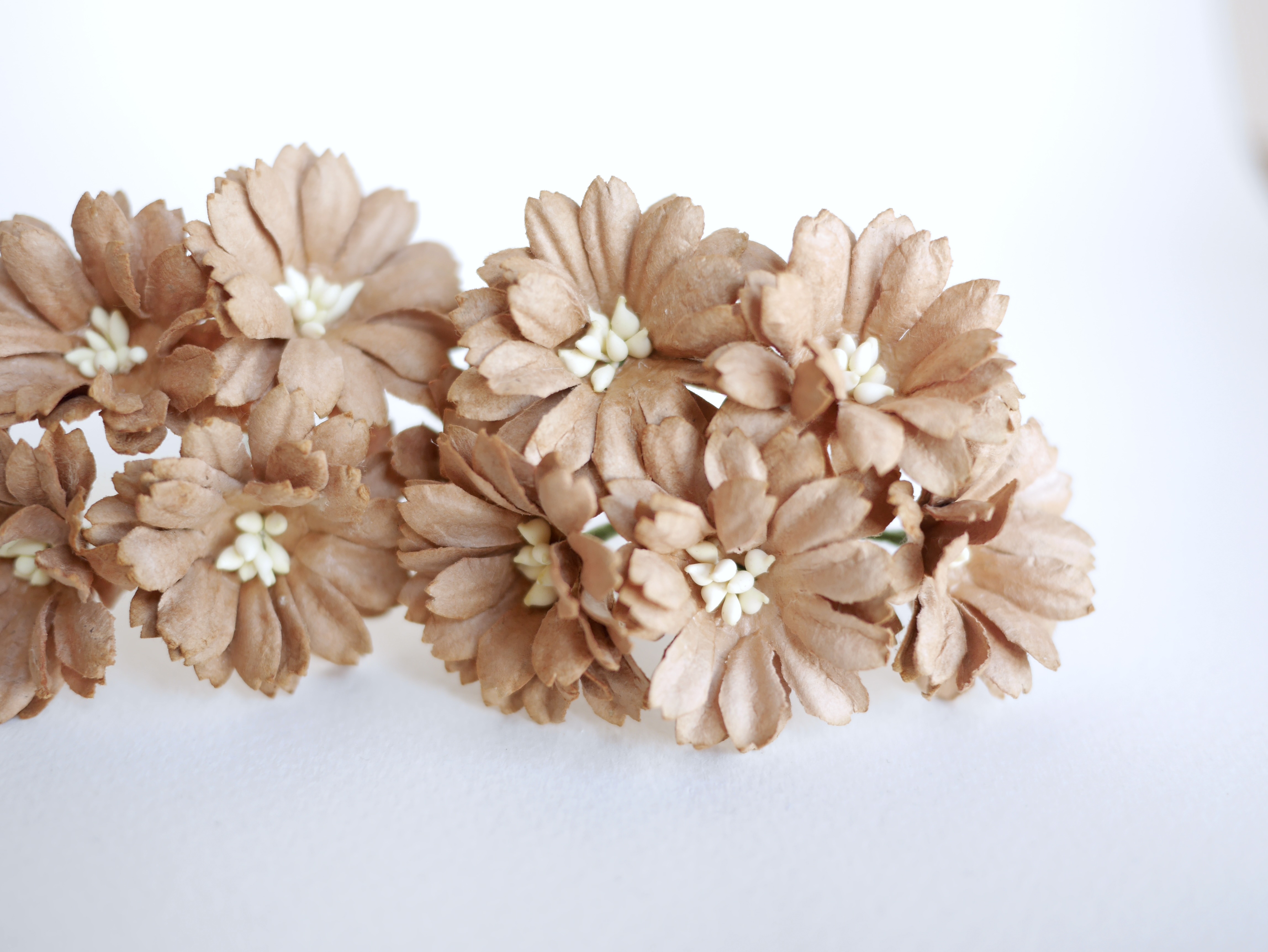 ดอกไม้กระดาษสา ดอกไม้ประดิษฐ์จากกระดาษสา ดอกไม้กระดาษสาขายส่ง ดอกไม้ประดิษฐ์ ดอกไม้ทำข้อมือเพื่อนเจ้าสาว ดอก daisy ขนาด 3.5 cm. จำนวน 25 ดอก สีน้ำตาล Paper Flower, 25 Daisy Flowers, brown color, size 3.5 cm., ivory pollen