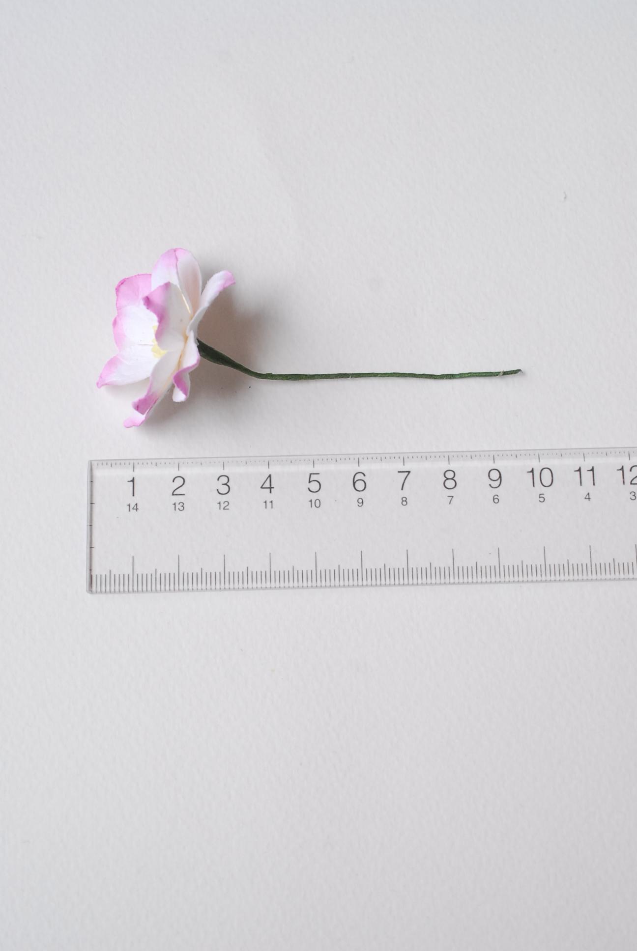 ดอกไม้กระดาษสา ดอกโลตัสอินโดนิเซียกระดาษ ดอกไม้กระดาษสาราคาส่ง ดอกไม้กระดาษสำหรับตกแต่งของชำร่วย งานแต่งงาน ทำช่อดอกไม้ติดอกเจ้าบ่าว ข้อมือดอกไม้เจ้าสาว ขนาด3.5 cm. 25 ดอก สีชมพปัด Paper flowers supplies: DIY wedding tools Big Cherry blossom (Lotus Indoni