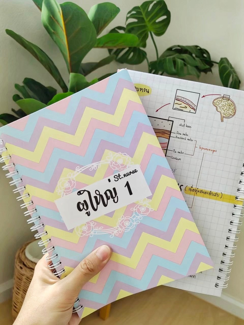shortnote ผู้ใหญ่ Part1
