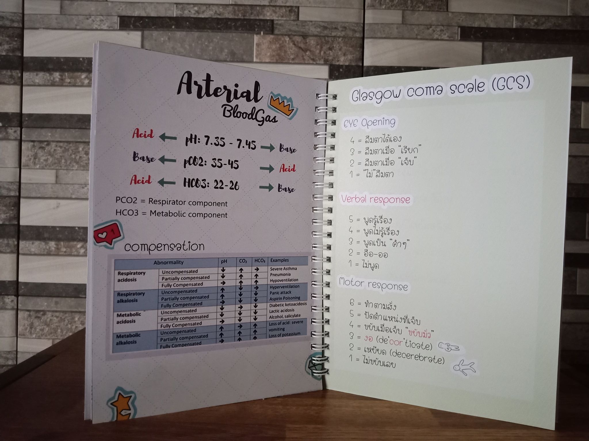 คู่มือฝึกงานพยาบาล (St..nurse planner) *รุ่น Edit 2567