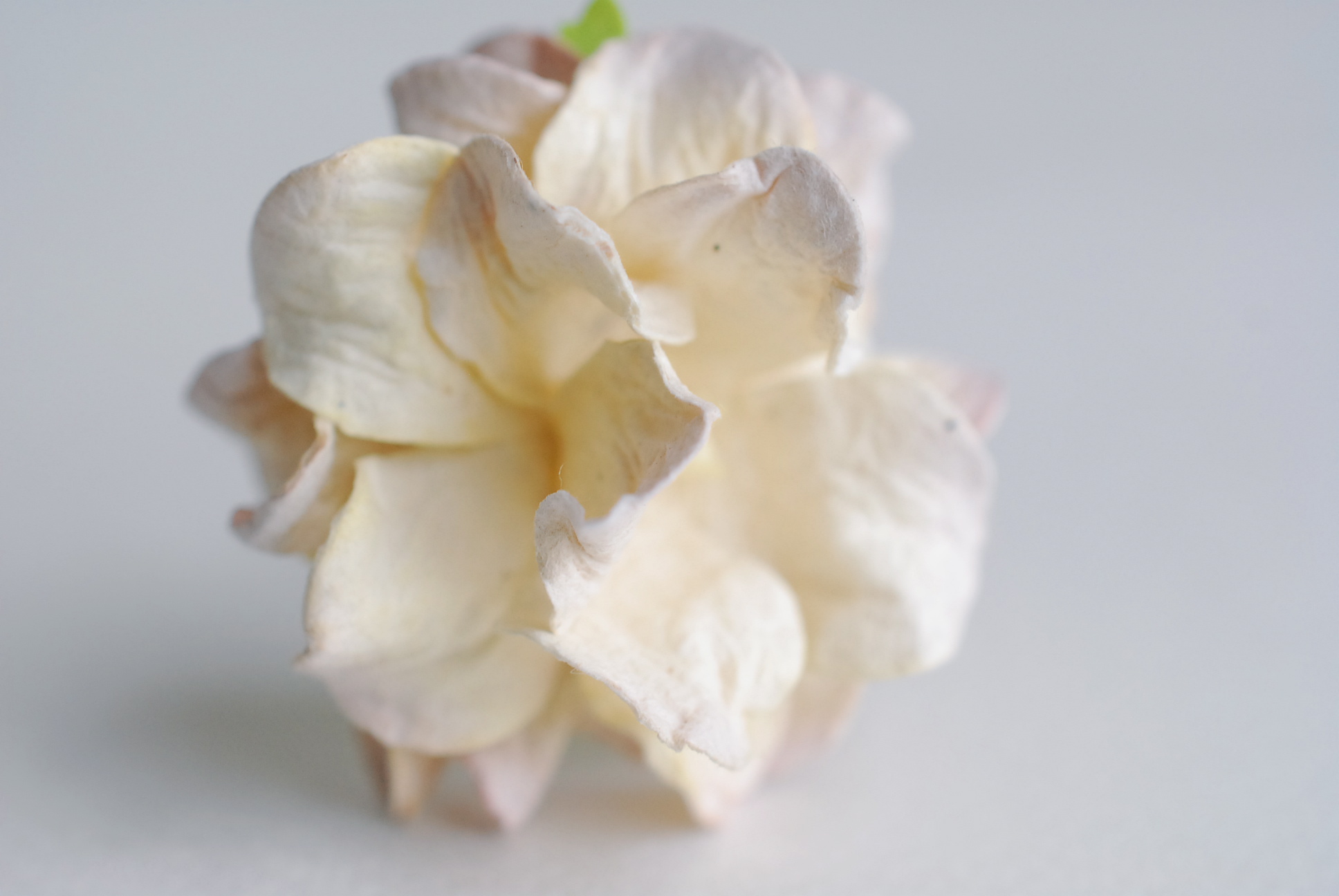 ดอกไม้กระดาษสา ราคาส่ง, ดอกการเดนเนียกระดาษสา ดอกไม้ประดิษฐ์ ตกแต่งงานแต่งงาน ประดิษฐ์ข้อมือเพื่อนเจ้าสาว ขนา่ด 3.5 cm., สำหรับของชำร่วย, งานแต่งงาน, ดอกไม้ทำข้อมือเจ้าสาว สีครีมปัดม่วงอ่อน จำนวน 25 ดอก Paper flower,25 Pieces mulberry gardenia flowers sup