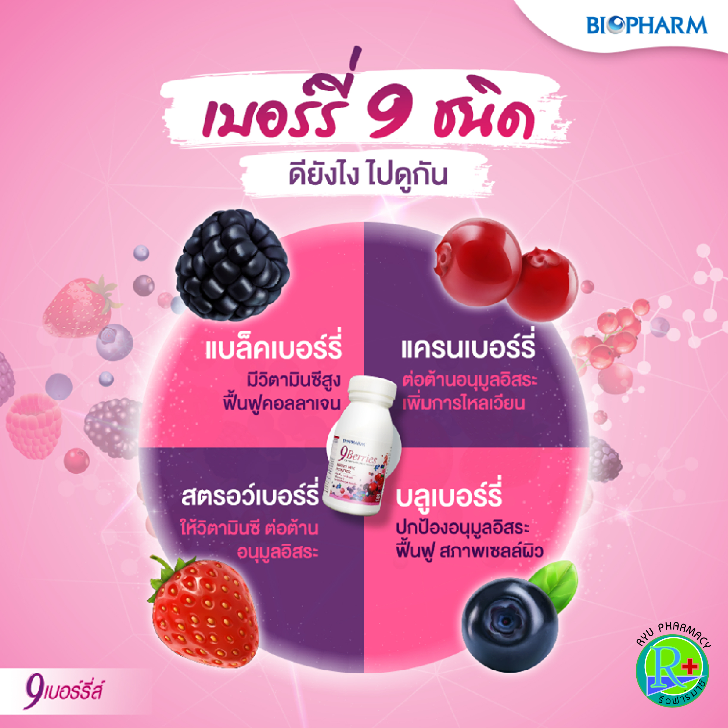 Biopharm 9 Berries ไบโอฟาร์ 9 เบอร์รี่ส์ Mix Berry มิกซ์เบอร์รี่ พื้นฟูผิว บำรุงผิวแห้ง ผิวคล้ำ ต้านอนุมูลอิสระ 30 แคปซูล