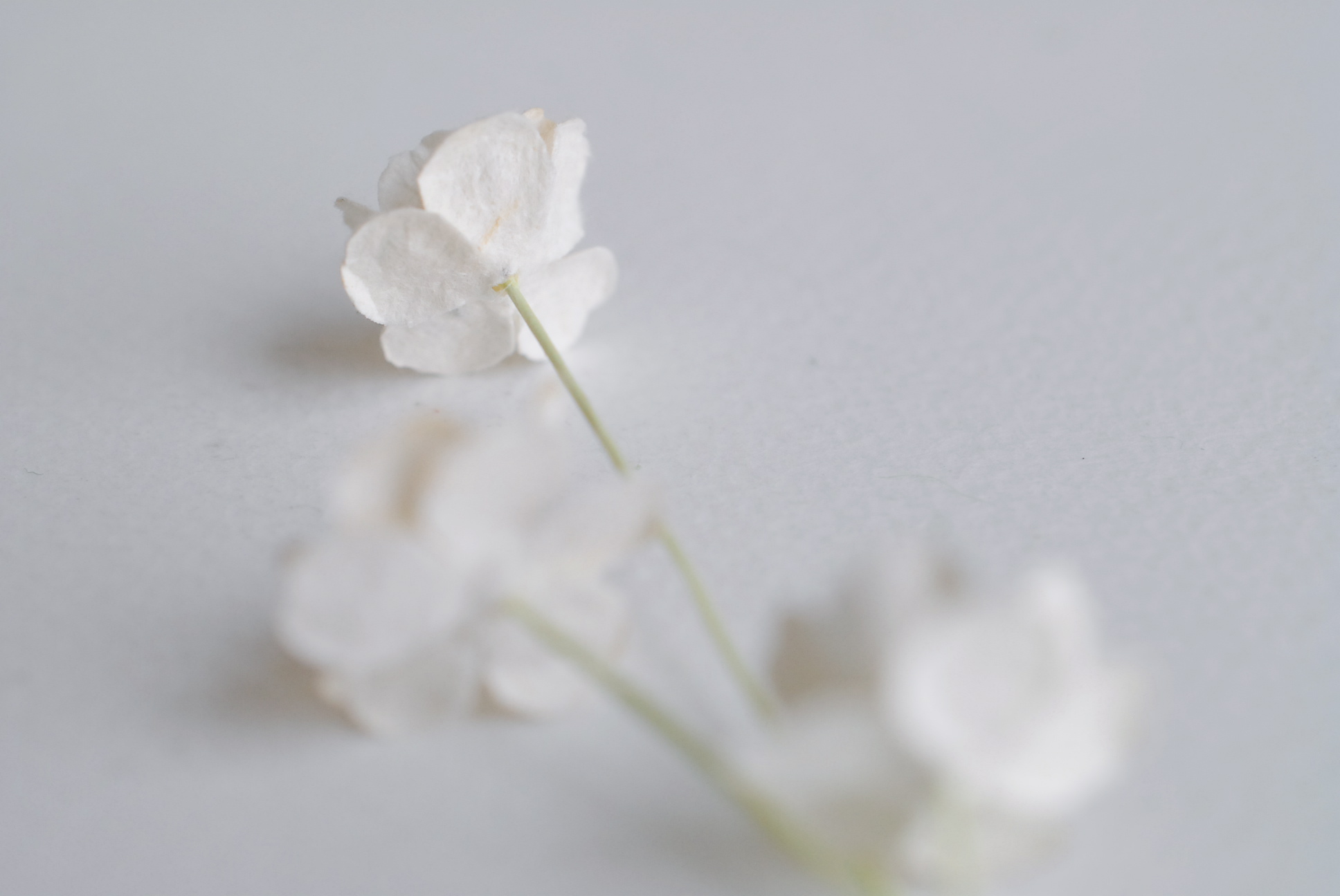 ดอกไม้กระดาษสา ราคาส่ง, ดอกไฮเดรนเยียกระดาษสา ดอกไม้ประดิษฐ์ ตกแต่งงานแต่งงาน ประดิษฐ์ข้อมือเพื่อนเจ้าสาว ขนา่ด 1.5 cm., สำหรับของชำร่วย, งานแต่งงาน, ดอกไม้ทำข้อมือเจ้าสาว สีขาวอ๊อฟไวท์ จำนวน 100 ดอก Paper flower,100 Pieces mulberry hydenyia, ofwhite colo