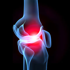 Biopharm Biotril-S 1500 ไบโอฟาร์ม ไบโอทริล เอส 1500 เพิ่มน้ำในข้อ ดูแลเรื่องข้อเสื่อม ปวดข้อ