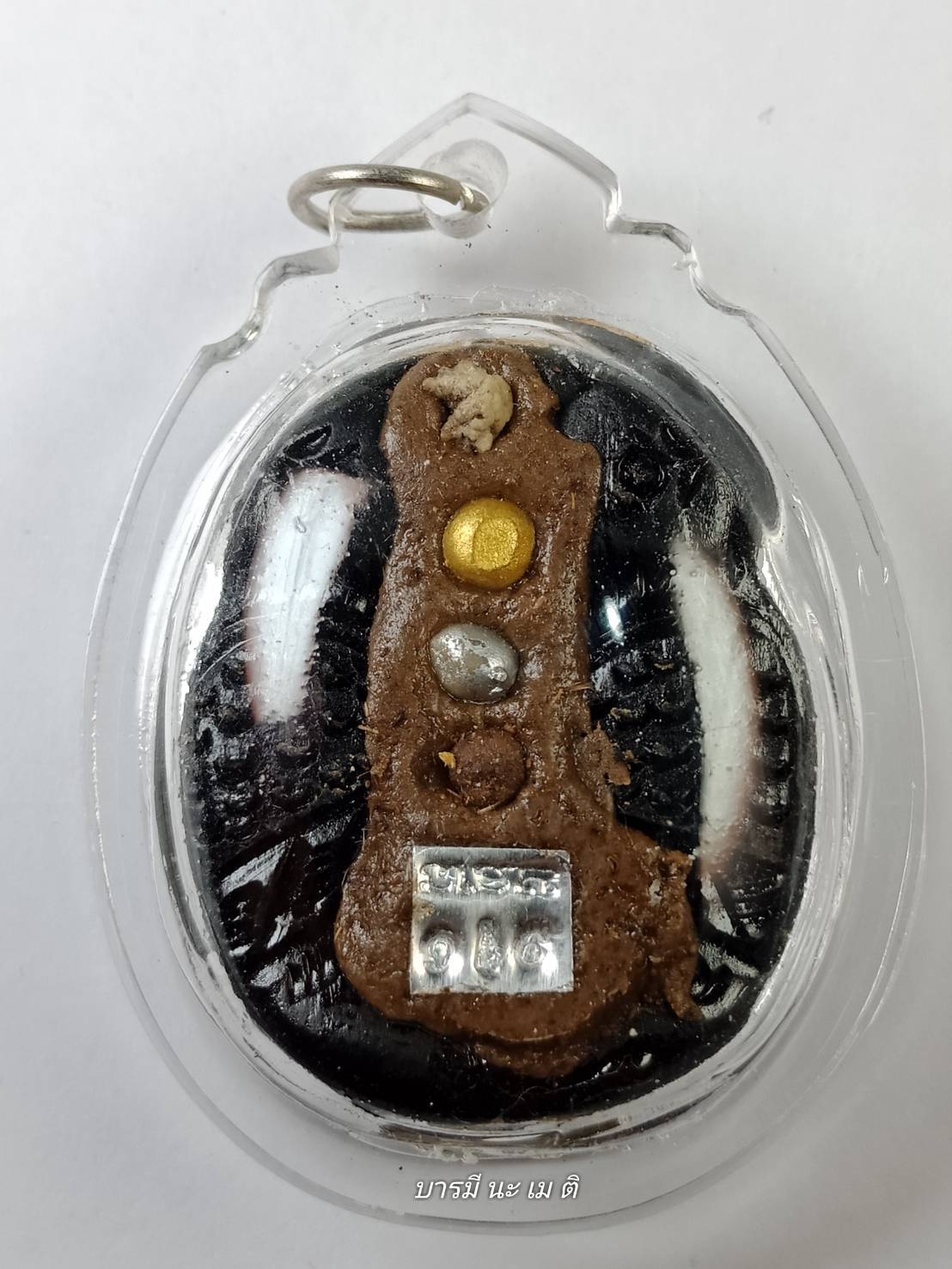 สาริกาไม้งิ้วดำ