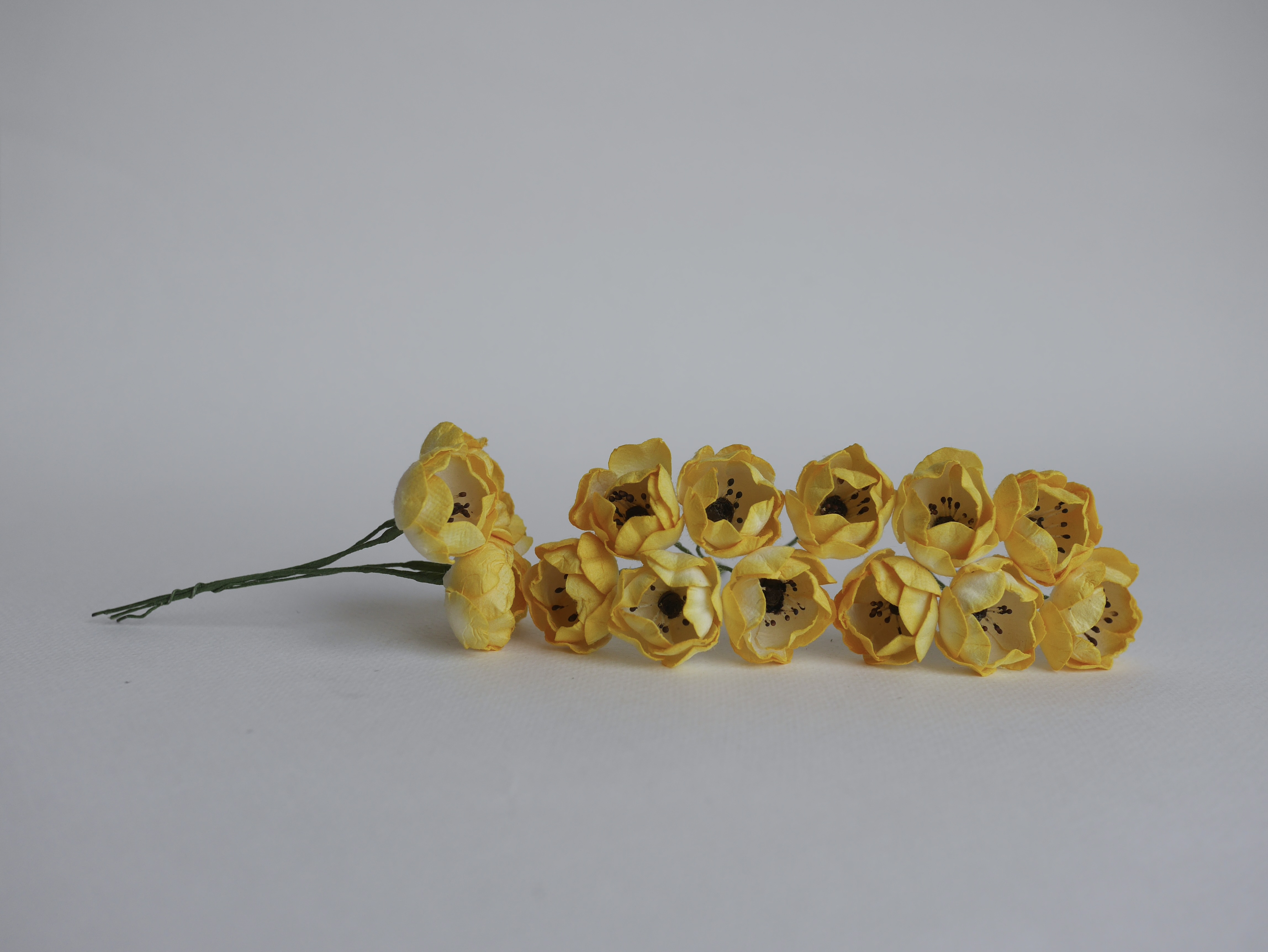 ดอกกุหลาบกระดาษสา peony ดอกไม้กระดาษสาราคาส่ง, ดอกไม้กระดาษ,ดอกไม้ประดิษฐ์ สำหรับตกแต่งของชำร่วย งานแต่งงาน ดอกกุหลาบกลม peony ขนาด 3.5 cm. จำนวน 25 ดอก, สีเหลืองปัด เกสรสีดำ Paper Flowers, Peony flowers supplies size 3.5cm./ 25 pieces, handmade flower