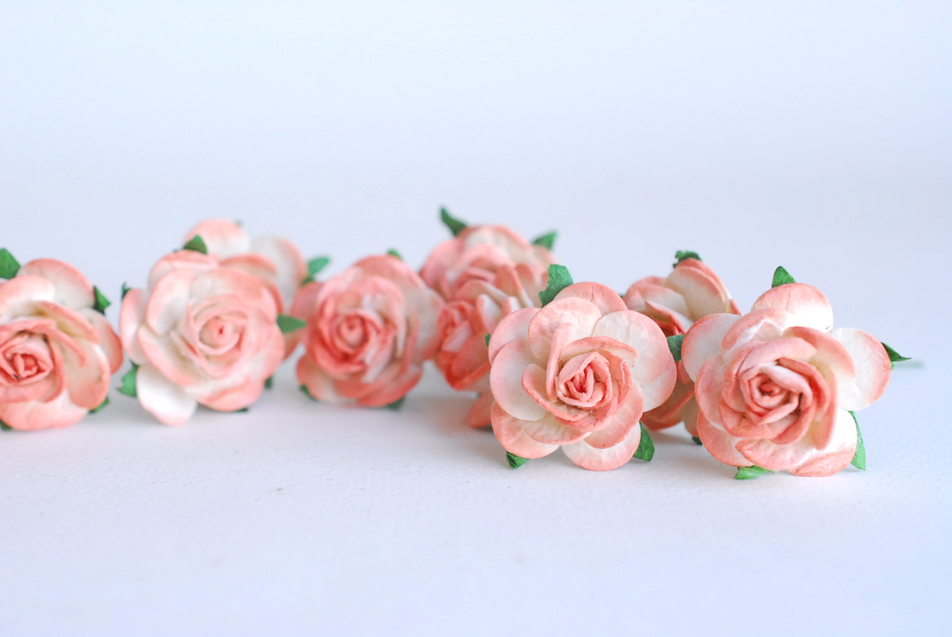 ดอกไม้กระดาษสา ดอกไม้กุหลาบกระดาษ ราคาส่ง, ดอกกุหลาบจิ๋ว ดอกกุหลาบกระดาษสา ดอกไม้ประดิษฐ์ สำหรับตกแต่ง หรืองานแต่งงาน สีpeachปัดขาวขนาด 2.5 cm. จำนวน 50 ดอก