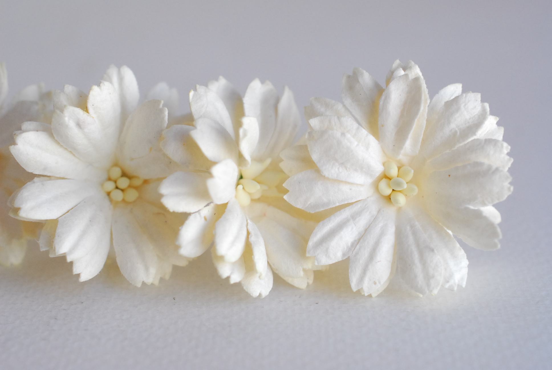 ดอกไม้กระดาษสา ดอกไม้ประดิษฐ์จากกระดาษสา ดอกเดซี่ ดอกไม้กระดาษสาขายส่ง ดอกไม้ประดิษฐ์ ดอกไม้ทำข้อมือเพื่อนเจ้าสาว ดอก daisy ขนาด 3.5 cm. จำนวน 25 ดอก สีครีม Paper Flower, 25 Daisy Flowers, ivory color, size 4.5 cm., ivory cream pollen.