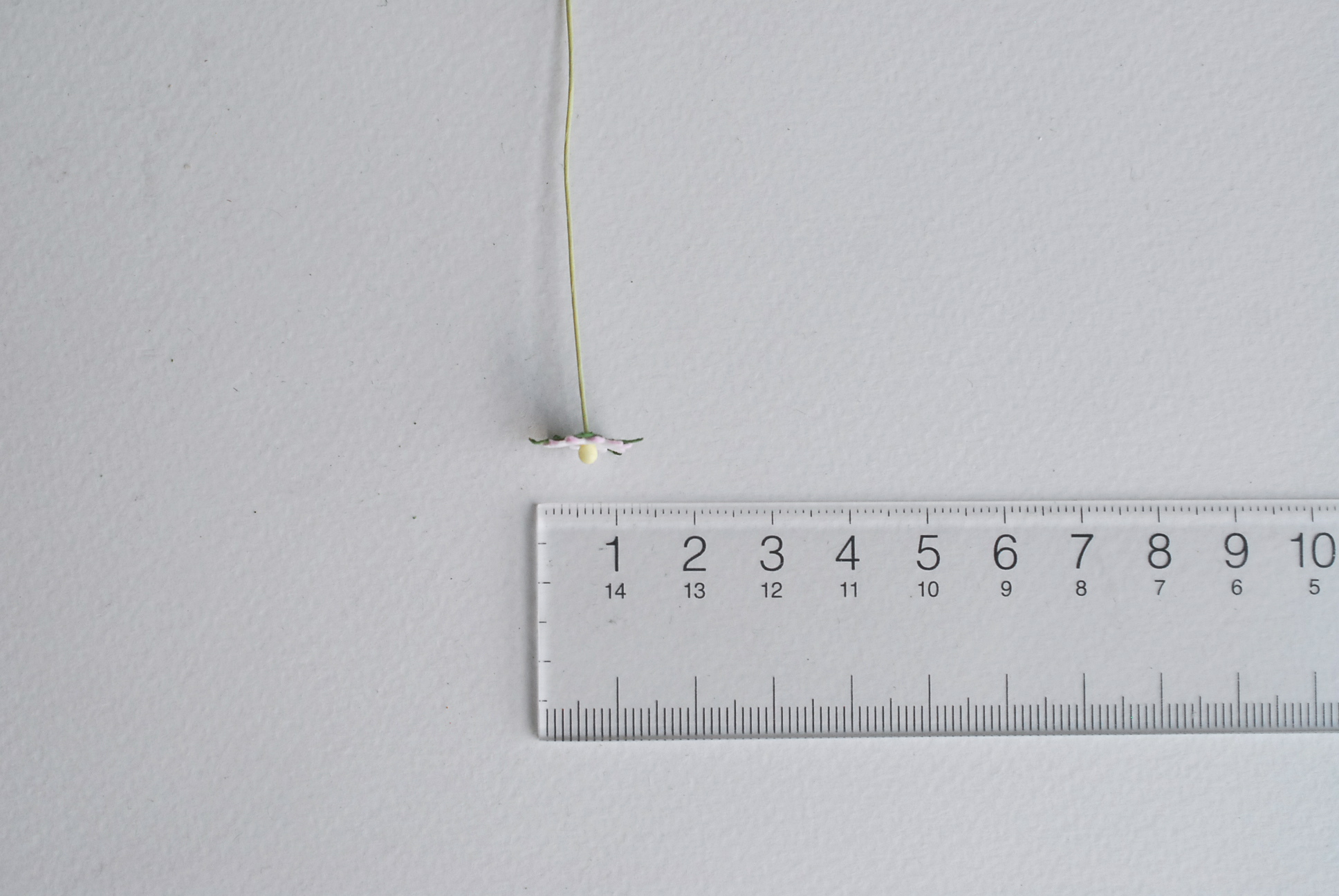 ดอกไม้กระดาษสา ดอกไม้กระดาษสาราคาส่ง ดอกไม้กระดาษสำหรับตกแต่ง งานแต่งงาน หรือติดของชำร่วย ดอกเดซี่ 100 ดอก ขนาด 0.8 cm. สีชมพูอ่อนปัด Small Paper Flower with stem, 100 pcs., size 0.8 cm., daisy flowers 2 layers, soft pink brush color.