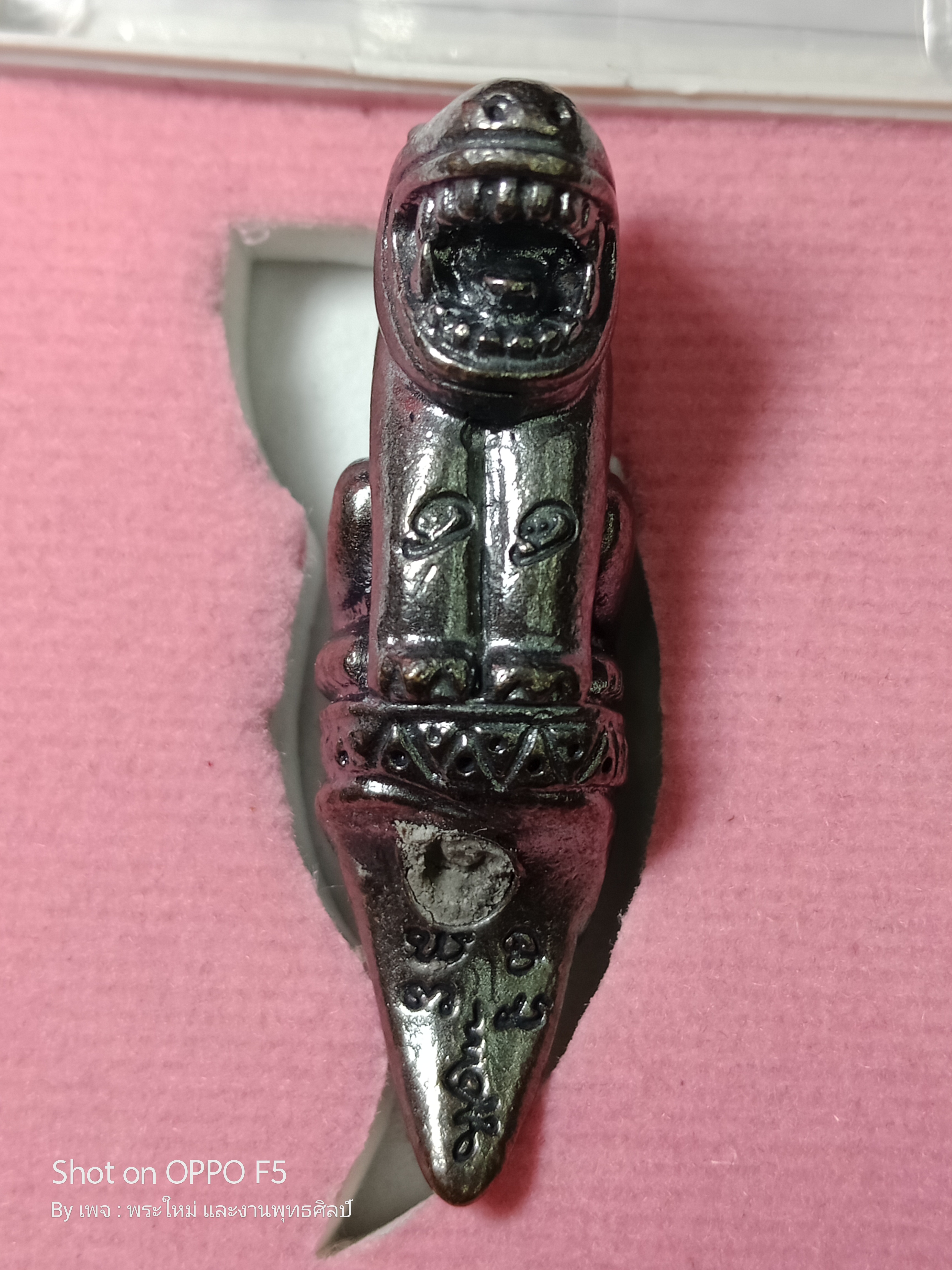 พญาสมิงดำ เนื้อ : ชนวนบังบด อุดว่านเครือร้อยปลาตัวผู้ ตัวเมีย