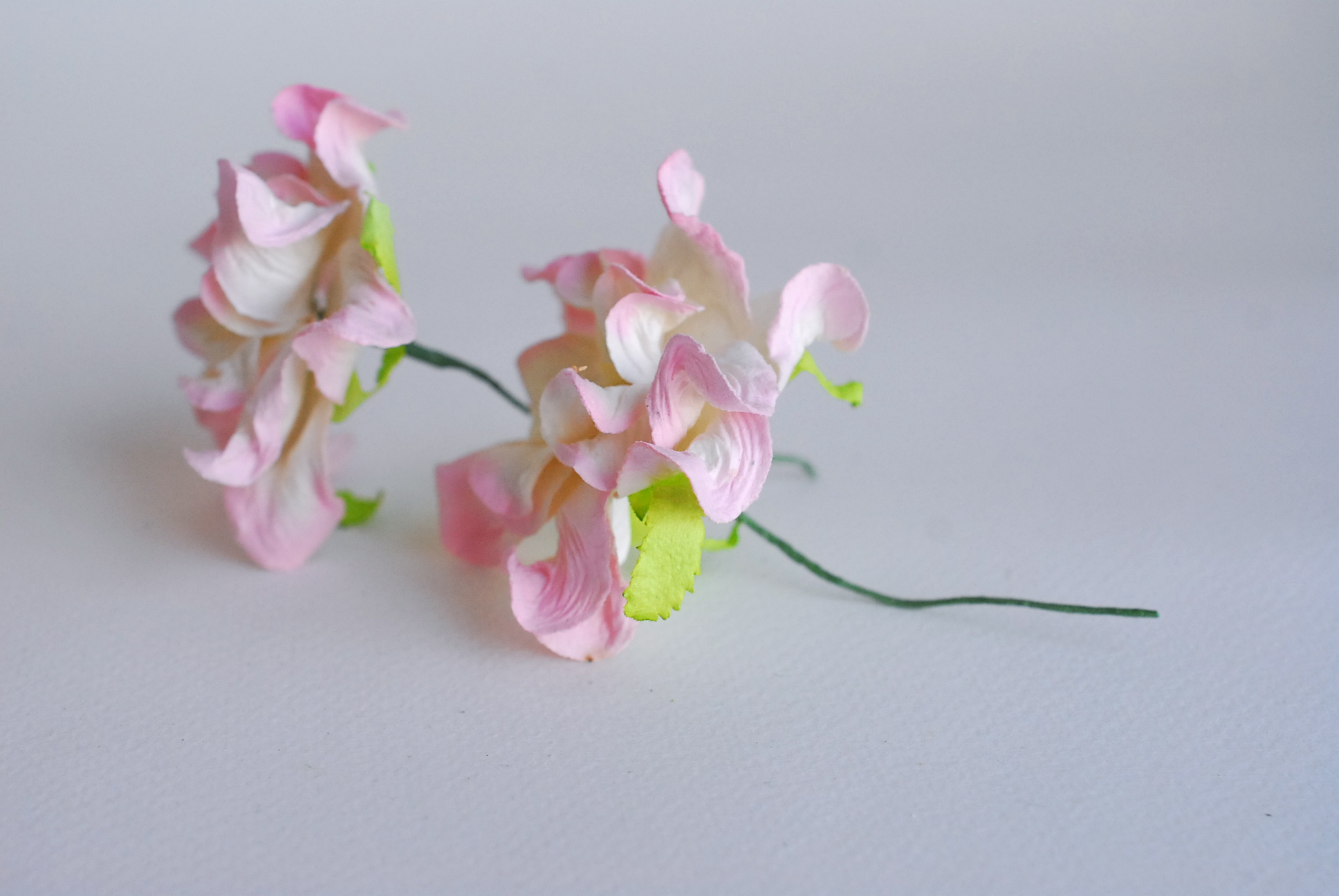 ดอกไม้กระดาษสา ราคาส่ง, ดอกการเดนเนียกระดาษสา ดอกไม้ประดิษฐ์ ตกแต่งงานแต่งงาน ประดิษฐ์ข้อมือเพื่อนเจ้าสาว ขนา่ด 5.5 cm., สำหรับของชำร่วย, งานแต่งงาน, ดอกไม้ทำข้อมือเจ้าสาว สีชมพูอ่อนปัดขาว จำนวน 25 ดอก Paper flower,25 Pieces mulberry gardenia flowers supp