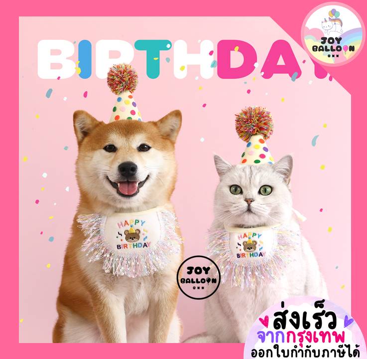 หมวกวันเกิดน้องแมว HBD พร้อบถ่ายรูปแมว หมา สัตว์เลี้ยง พร้อบถ่ายรูปวันเกิด Happy Birthday Party (ส่งเร็วจากกุรงเทพ)