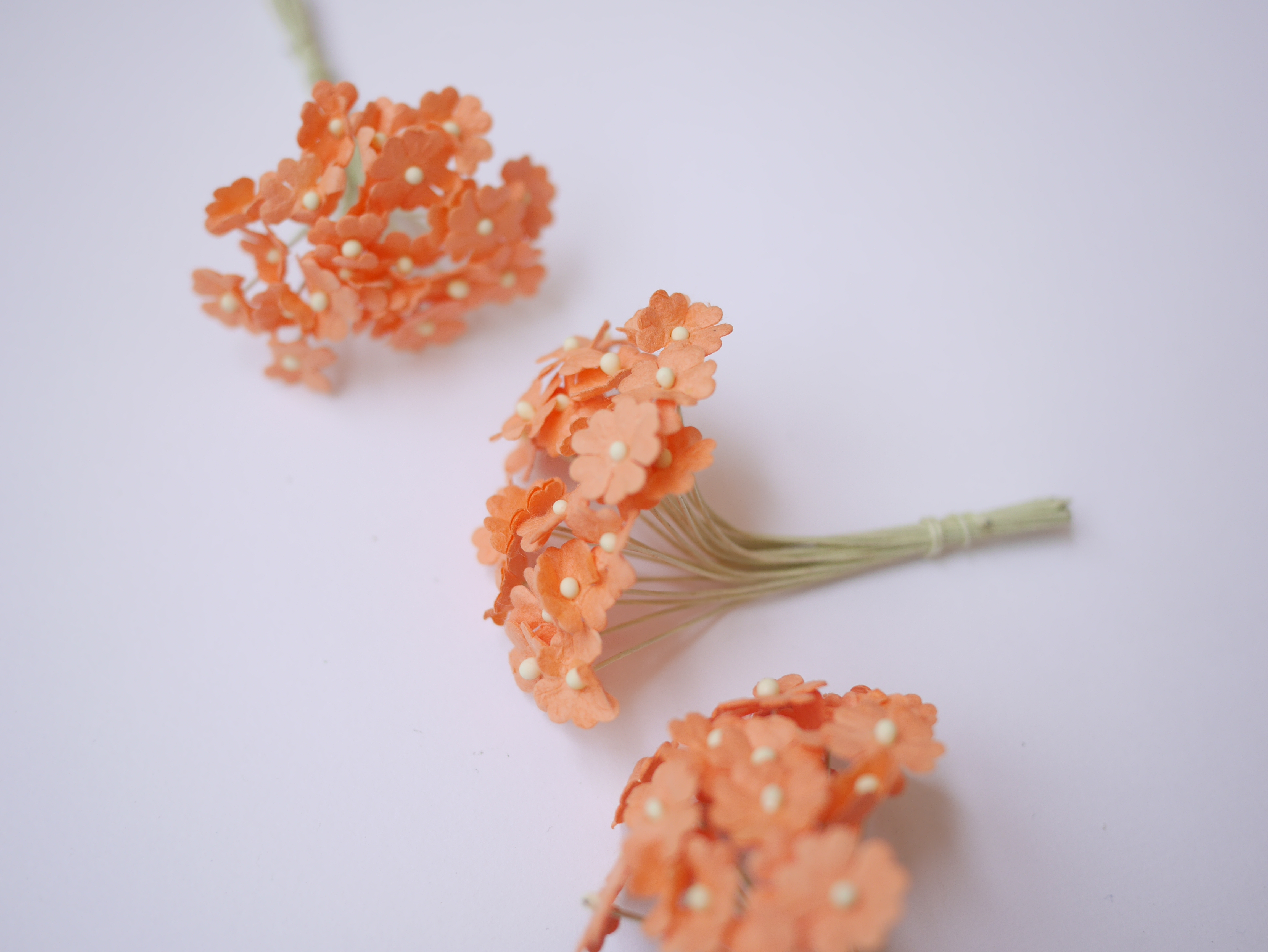 ดอกไม้กระดาษสา ดอกไม้กระดาษสาราคาส่ง ดอกไม้กระดาษสำหรับตกแต่ง งานแต่งงาน หรือติดของชำร่วย ดอกไม้จิ๋ว 100 ดอก ขนาด 1 cm. สีส้มพีช Small Paper Flower with stem, 100 pcs., size 1 cm., small creeping ladies flowers 1 layer, orange peach color.