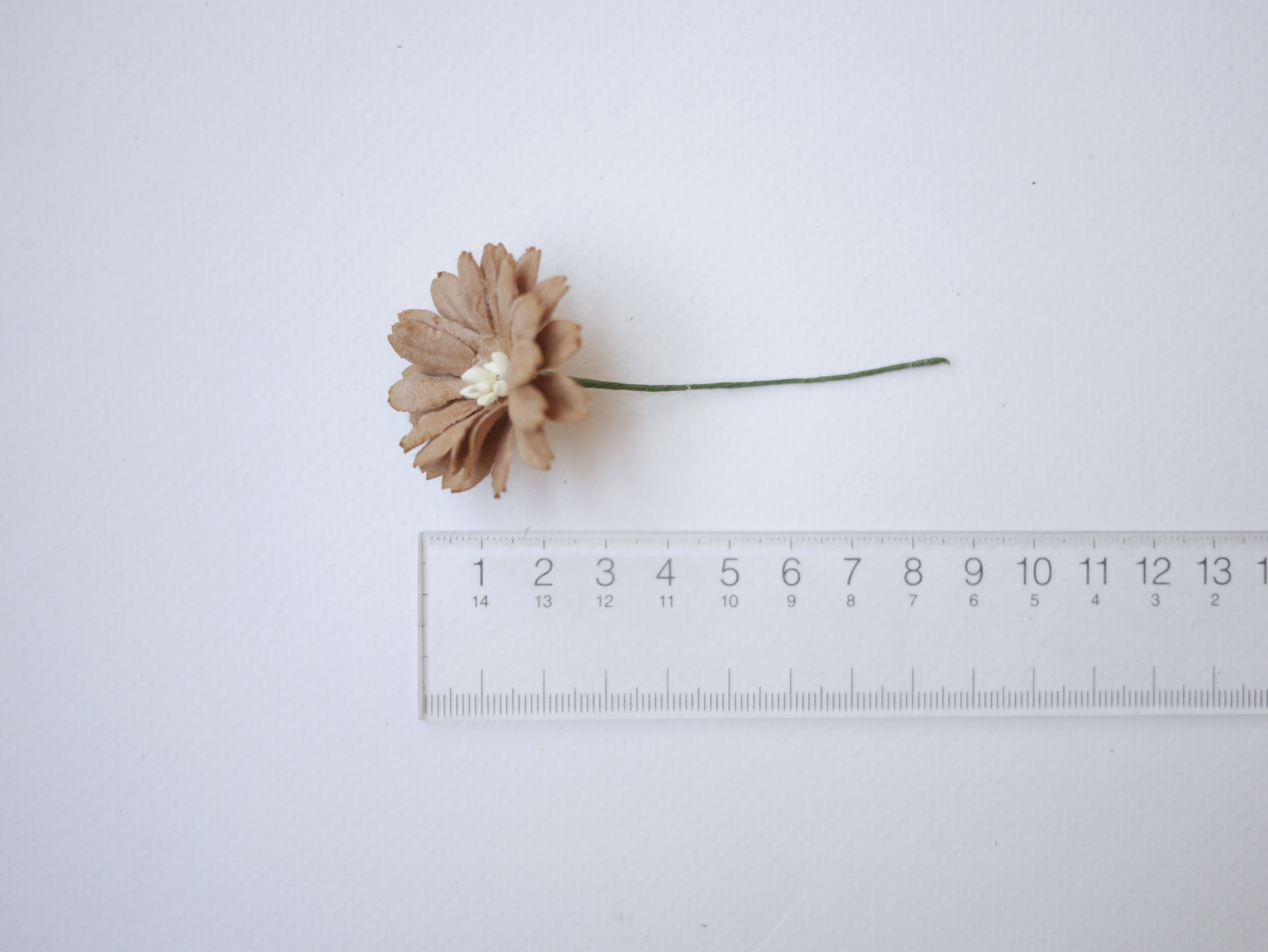 ดอกไม้กระดาษสา ดอกไม้ประดิษฐ์จากกระดาษสา ดอกไม้กระดาษสาขายส่ง ดอกไม้ประดิษฐ์ ดอกไม้ทำข้อมือเพื่อนเจ้าสาว ดอก daisy ขนาด 3.5 cm. จำนวน 25 ดอก สีน้ำตาล Paper Flower, 25 Daisy Flowers, brown color, size 3.5 cm., ivory pollen