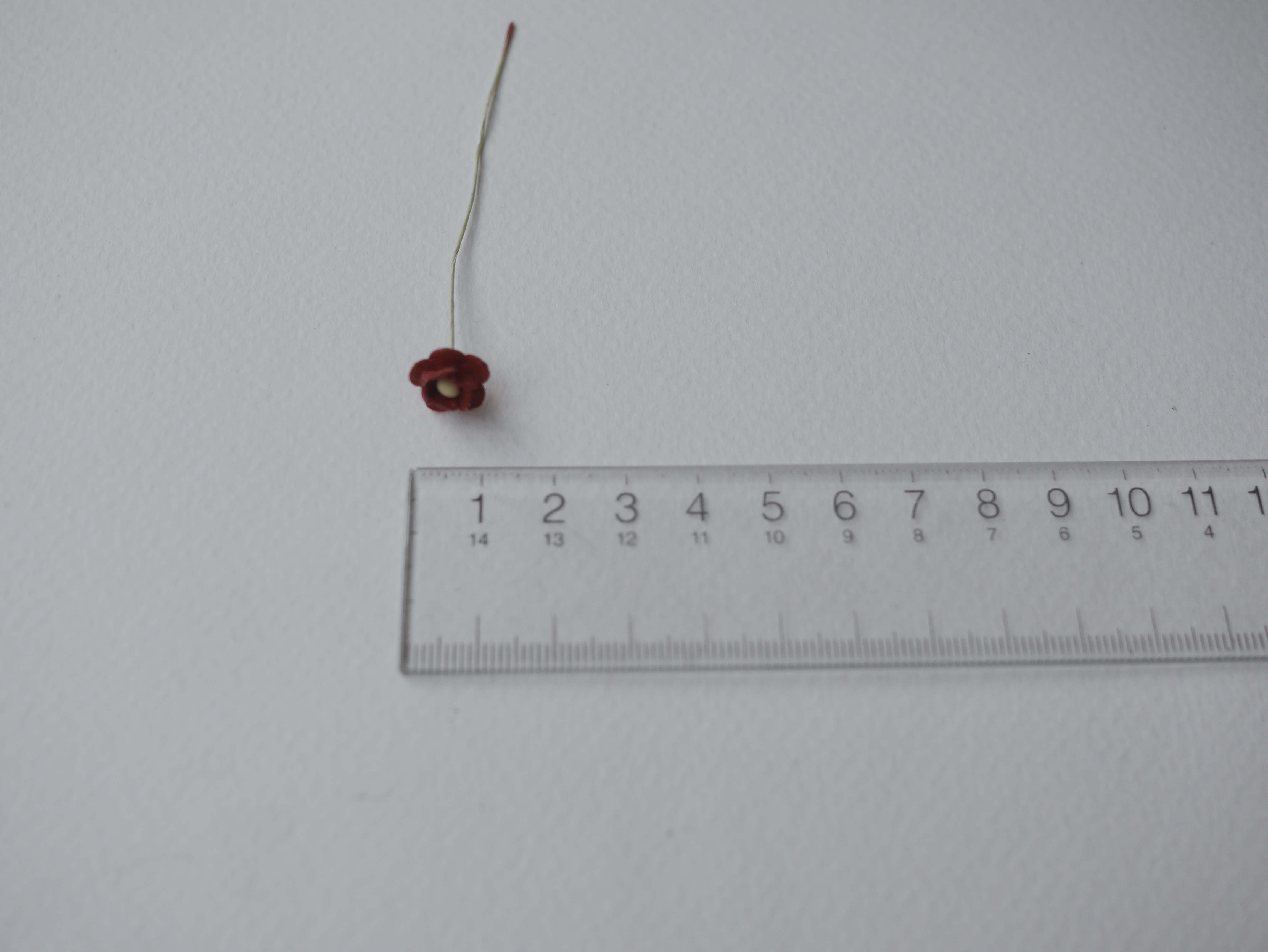 ดอกไม้กระดาษสา ดอกไม้กระดาษสาราคาส่ง ดอกไม้กระดาษสำหรับตกแต่ง งานแต่งงาน หรือติดของชำร่วย ดอก creeping lady 100 ดอก ขนาด 0.8 cm. สีแดงเข้ม Small Paper Flower with stem, 100 pcs., size 0.8 cm., creeping flowers 2 layers, dark red color.