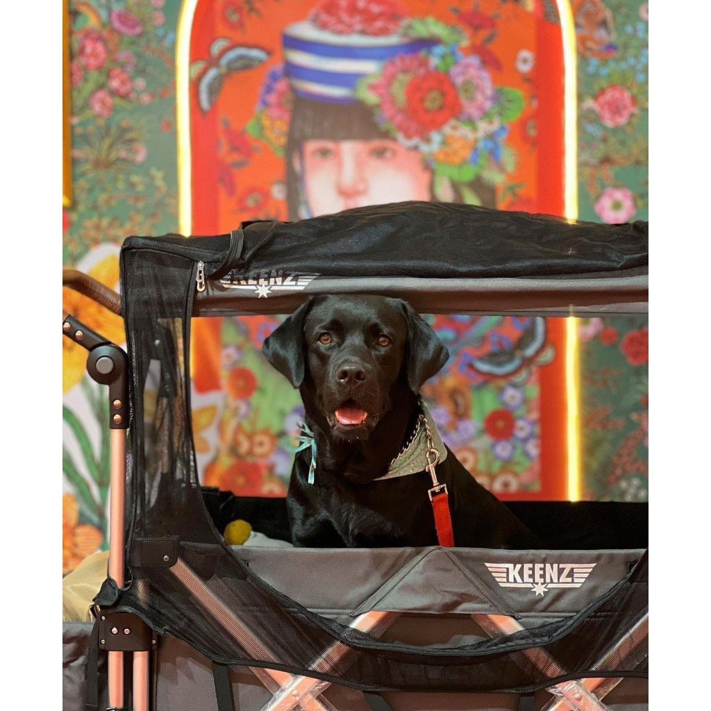 Keenz Mosquito Net ตาข่ายกันยุง 7s+ Humvee Wagon