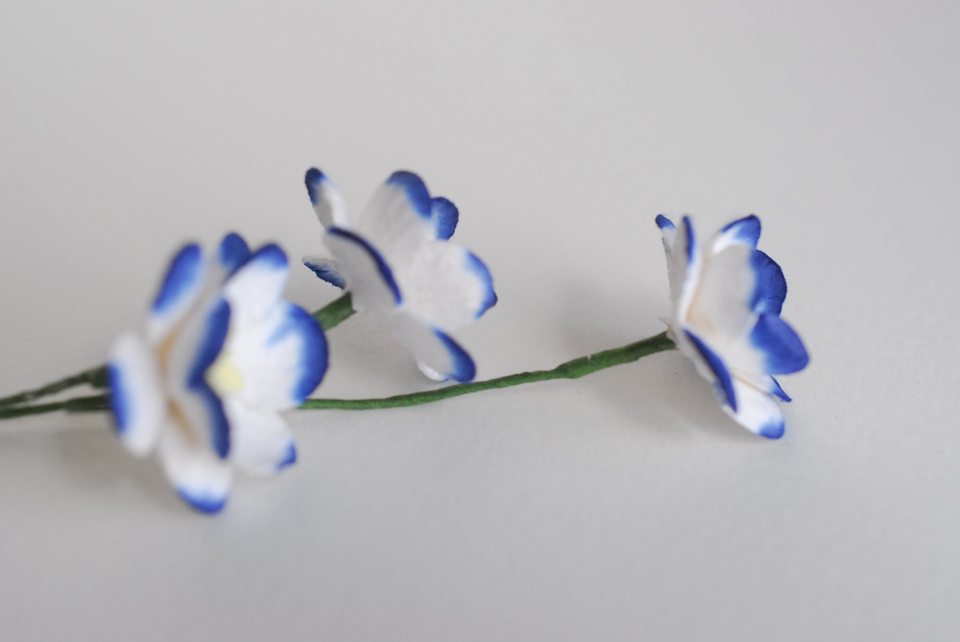 ดอกไม้กระดาษสา ดอกซากุระกระดาษ ดอกไม้กระดาษสาราคาส่ง ดอกไม้กระดาษสำหรับตกแต่งของชำร่วย งานแต่งงาน ทำช่อดอกไม้ติดอกเจ้าบ่าว ข้อมือดอกไม้เจ้าสาว ขนาด2.5 cm. 50 ดอก สีน้ำเงินกรมท่าปัดขาว Paper flowers supplies: DIY wedding tools Cherry blossom (Sakura) 50 pc