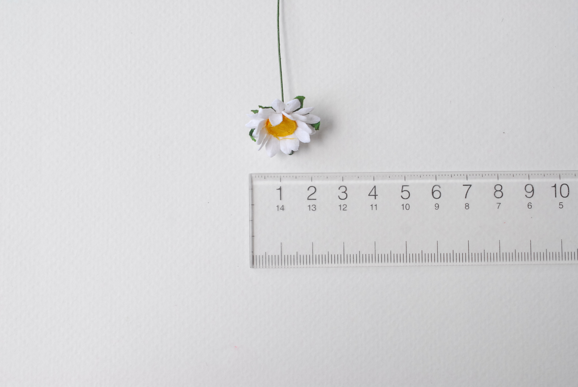 ดอกทานตะวันกระดาษ ดอกไม้กระดาษสา ดอกไม้ประดิษฐ์จากกระดาษสา ดอกทานตะวัน ดอกไม้กระดาษสาขายส่ง ดอกไม้ประดิษฐ์ ดอกไม้ทำข้อมือเพื่อนเจ้าสาว ขนาด 1.5 cm. จำนวน 50 ดอก สีเหลือง Paper Flower, Sun Flowers, white color, size 1.5 cm 50 pieces, yellow pollen.