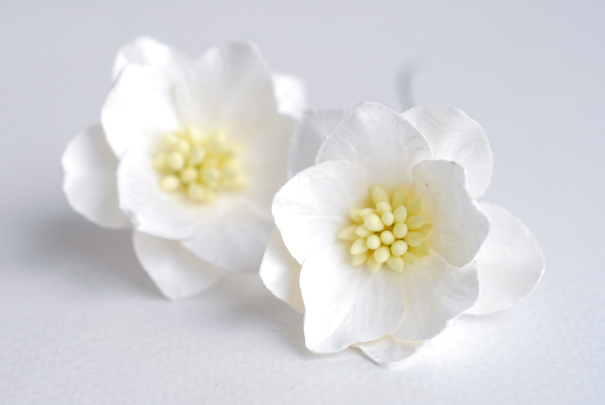 ดอกไม้กระดาษสา ดอกโลตัสอินโดนิเซียกระดาษ ดอกไม้กระดาษสาราคาส่ง ดอกไม้กระดาษสำหรับตกแต่งของชำร่วย งานแต่งงาน ทำช่อดอกไม้ติดอกเจ้าบ่าว ข้อมือดอกไม้เจ้าสาว ขนาด3.5 cm. 25 ดอก สีออฟไวท์ Paper flowers supplies: DIY wedding tools Big Cherry blossom