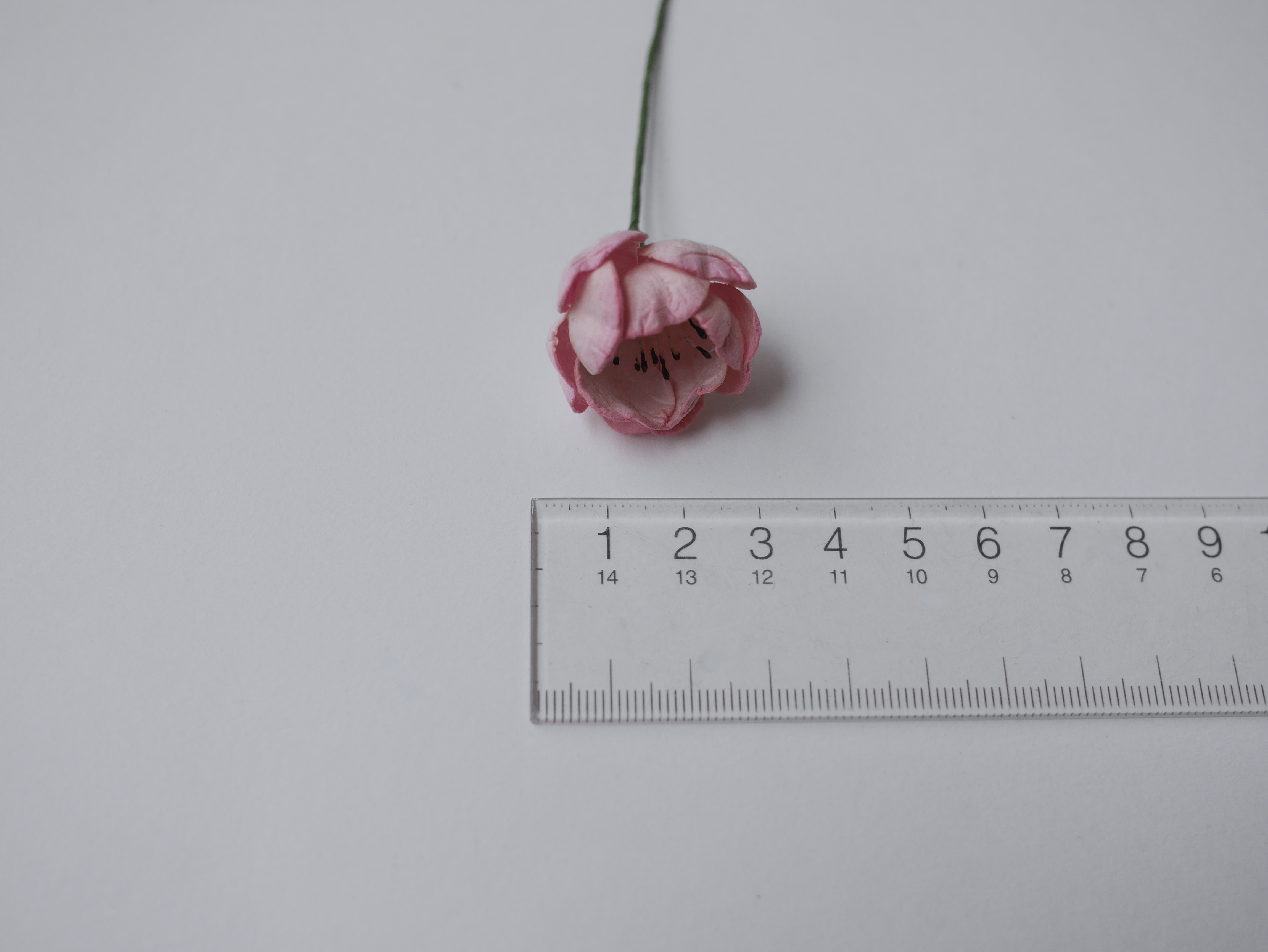 ดอกกุหลาบกระดาษสา peony ดอกไม้กระดาษสาราคาส่ง, ดอกไม้กระดาษ,ดอกไม้ประดิษฐ์ สำหรับตกแต่งของชำร่วย งานแต่งงาน ดอกกุหลาบกลม peony ขนาด 3.5 cm. จำนวน 25 ดอก, สีชมพูปัดสีขาว เกสรสีดำ Paper Flowers, Peony flowers supplies size 3.5cm./ 25 pieces, handmade flower