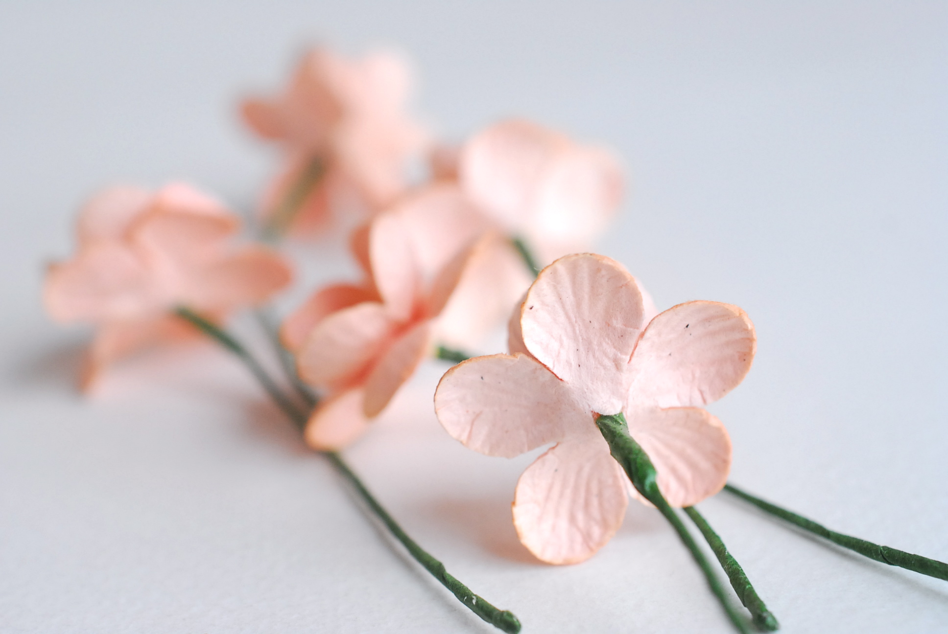 ดอกไม้กระดาษสา ดอกซากุระกระดาษ ดอกไม้กระดาษสาราคาส่ง ดอกไม้กระดาษสำหรับตกแต่งของชำร่วย งานแต่งงาน ทำช่อดอกไม้ติดอกเจ้าบ่าว ข้อมือดอกไม้เจ้าสาว ขนาด2.5 cm. 50 ดอก Paper flowers supplies: DIY wedding tools Cherry blossom (Sakura) 50 pcs. size 2.5 cm.