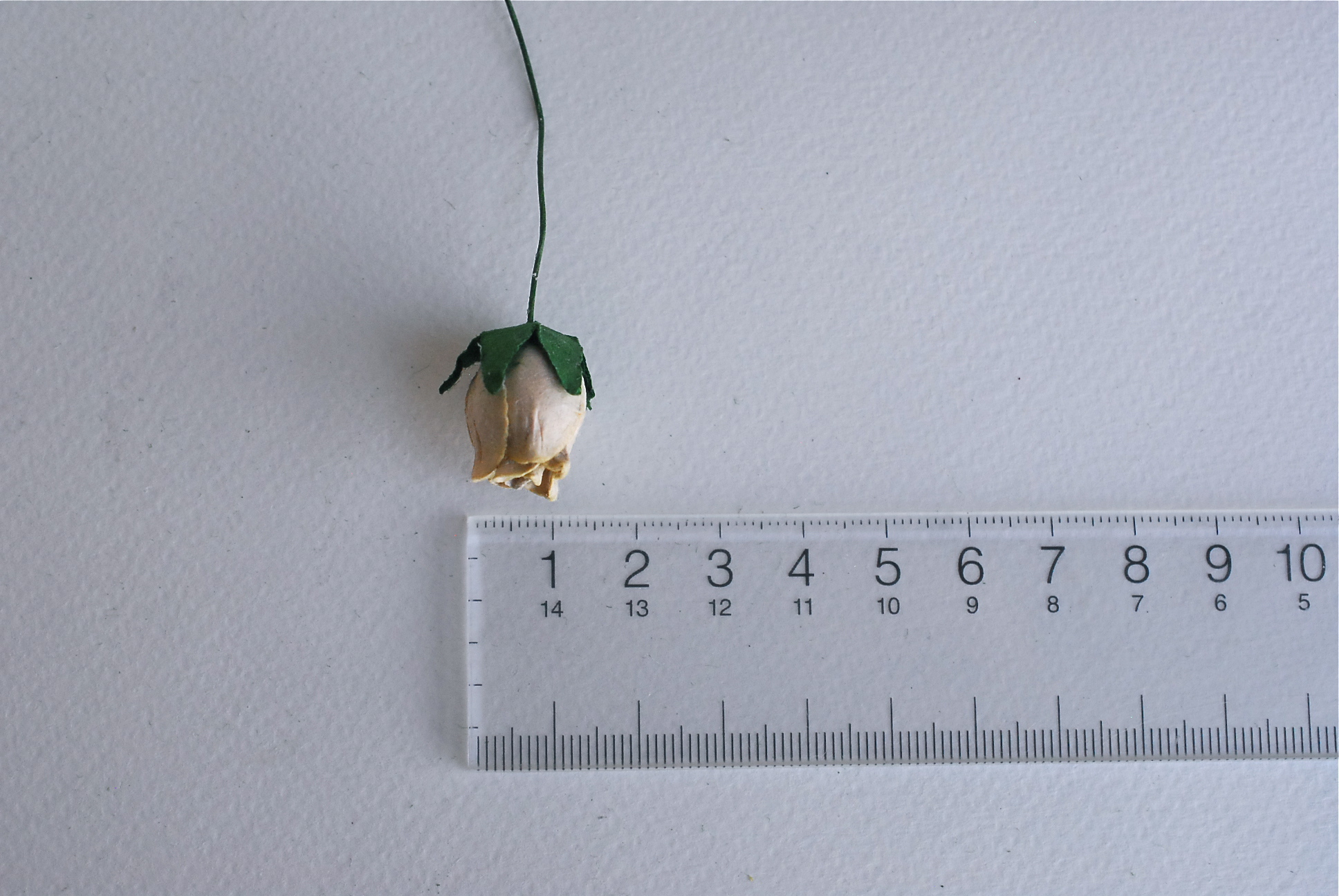 ดอกไม้กระดาษสา ดอกไม้กระดาษสา จตุจักร งานประดิษฐ์ ดอกไม้ทำข้อมือเพื่อนเจ้าสาว แต่งงาน, ดอกกุหลาบตูม 50 ดอก สีน้ำตาลกระดาษ color ขนาด 1.5 cm. paper flowers, budding roses flower 1.5 cm. 50 pieces. brown color.