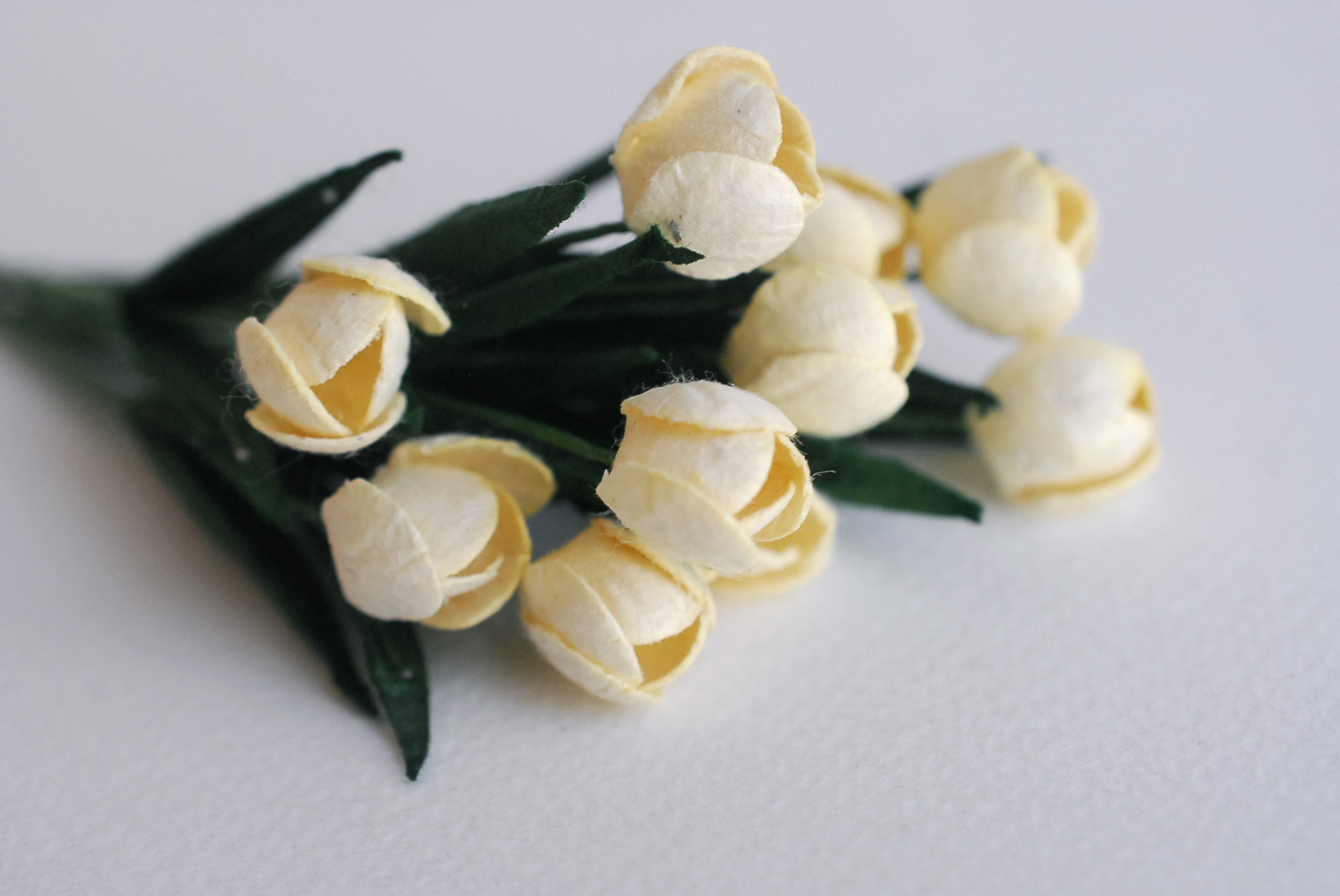 ดอกไม้ประดิษฐ์, ดอกไม้กระดาษสา, ดอกtulips, ดอกทิวลิปส์, ก้านสีเขียว เกสรสีขาว งานประดิษฐ์ตกแต่งของชำร่วย,ทำการ์ดรับเชิญ,ช่อดอกไม้ขนาดเล็ก, ขนาด 1.5 cm. สีขาวครีม