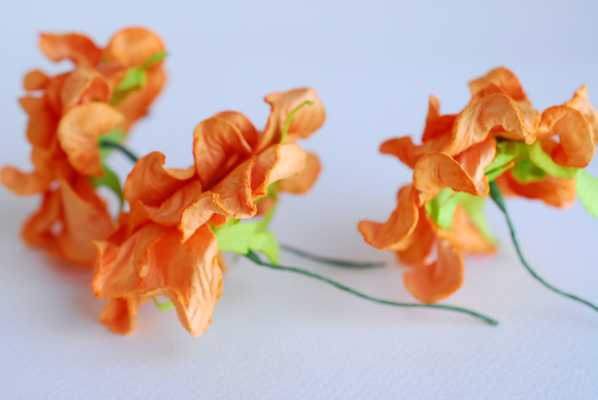 ดอกไม้กระดาษสา ราคาส่ง, ดอกการเดนเนียกระดาษสา ดอกไม้ประดิษฐ์ ตกแต่งงานแต่งงาน ประดิษฐ์ข้อมือเพื่อนเจ้าสาว ขนา่ด 5.5 cm., สำหรับของชำร่วย, งานแต่งงาน, ดอกไม้ทำข้อมือเจ้าสาว สีส้ม จำนวน 25 ดอก Paper flower,25 Pieces mulberry gardenia flowers supplies