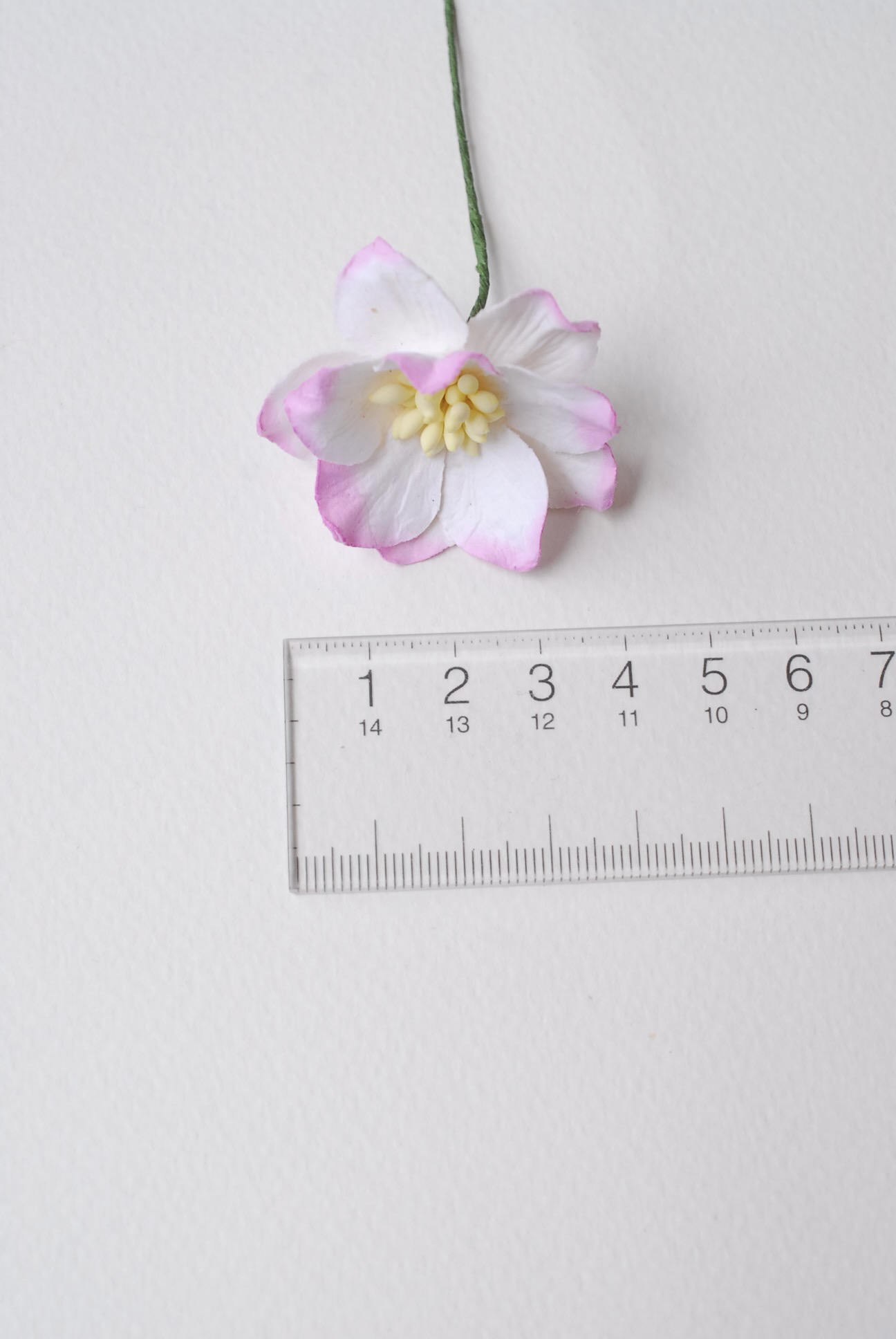 ดอกไม้กระดาษสา ดอกโลตัสอินโดนิเซียกระดาษ ดอกไม้กระดาษสาราคาส่ง ดอกไม้กระดาษสำหรับตกแต่งของชำร่วย งานแต่งงาน ทำช่อดอกไม้ติดอกเจ้าบ่าว ข้อมือดอกไม้เจ้าสาว ขนาด3.5 cm. 25 ดอก สีชมพปัด Paper flowers supplies: DIY wedding tools Big Cherry blossom (Lotus Indoni